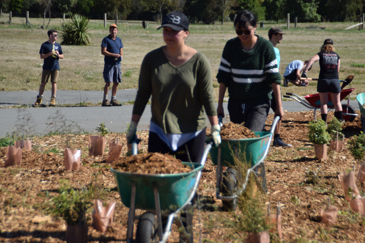 2017 SoLA Vertical Studio Day 07