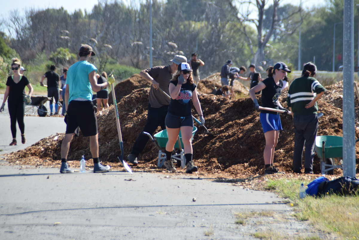 2017 SoLA Vertical Studio Day 11