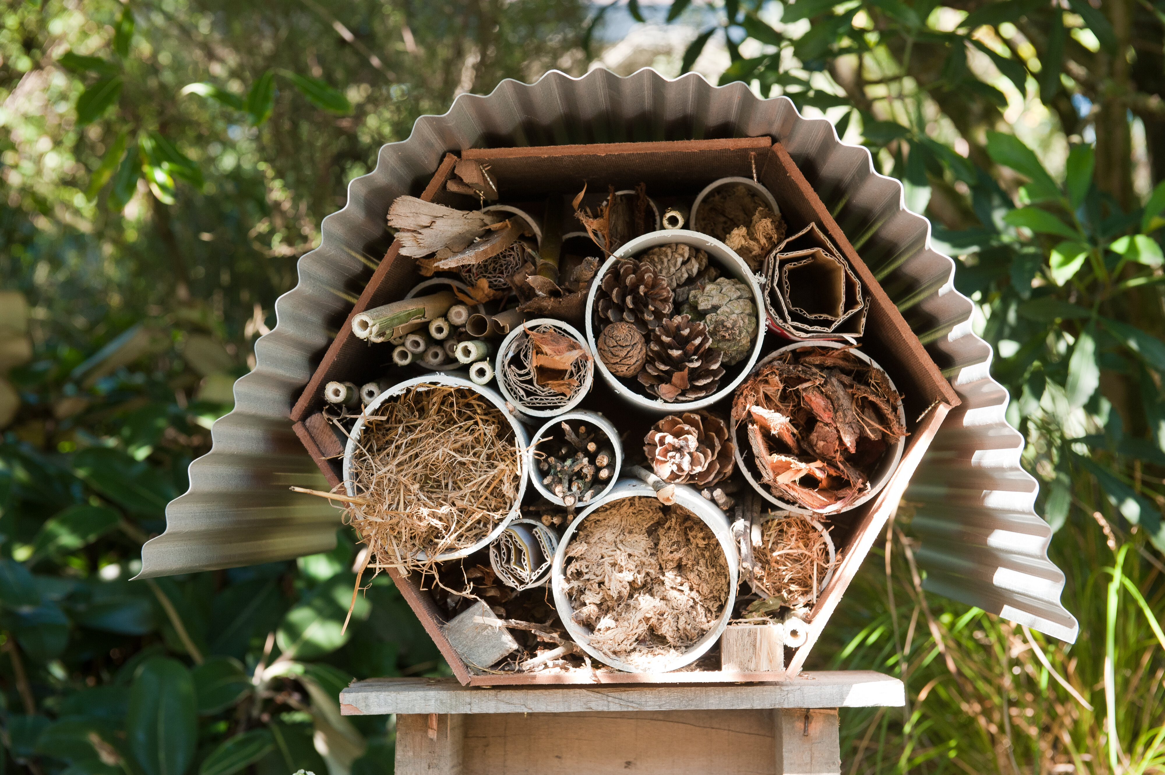 Insect Hotel 
Landscape Architecture 
Student Project 5