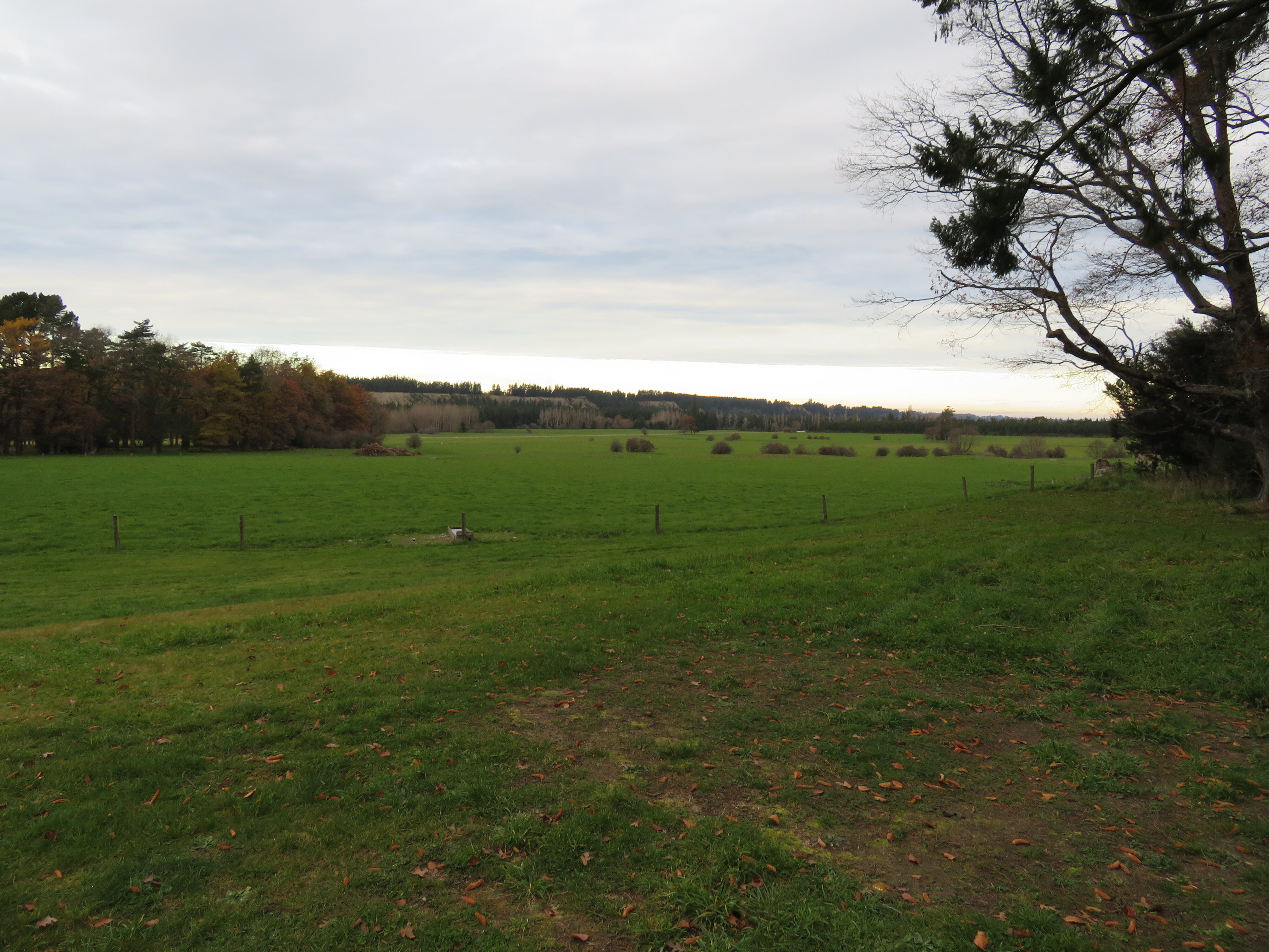 2017 Reunion South Canterbury 023