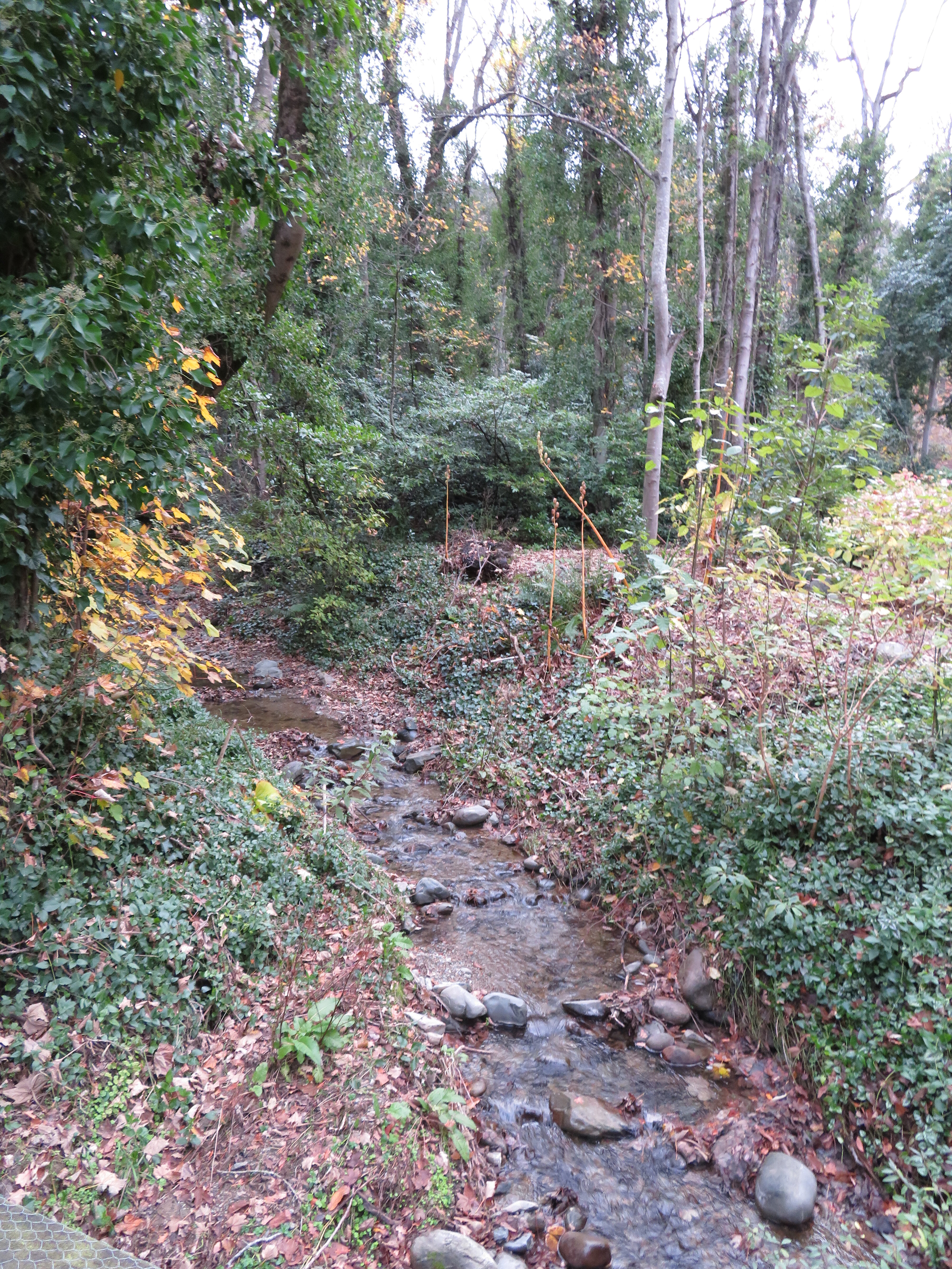 2017 Reunion South Canterbury 048