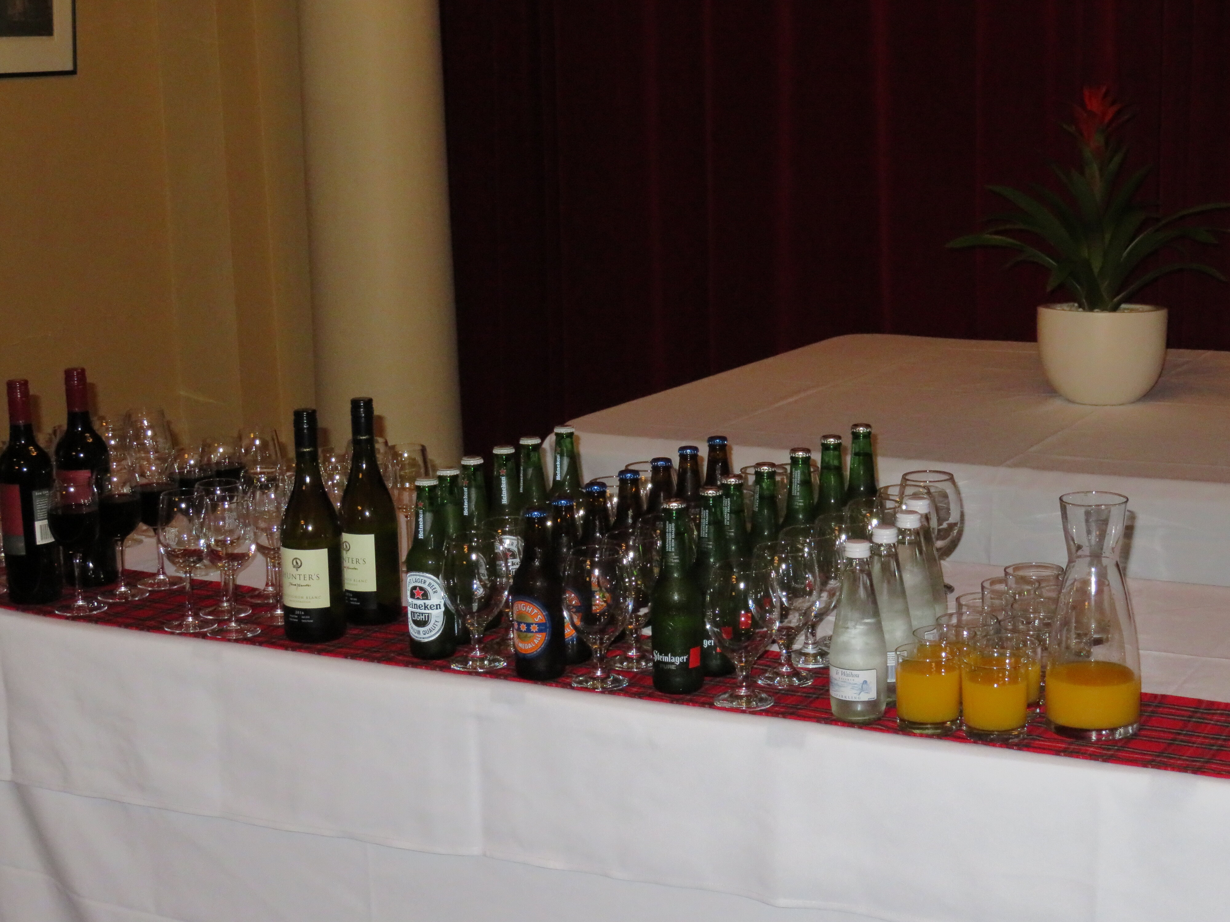 2017 LincUp Alumni &amp; Friends - Dunedin 008