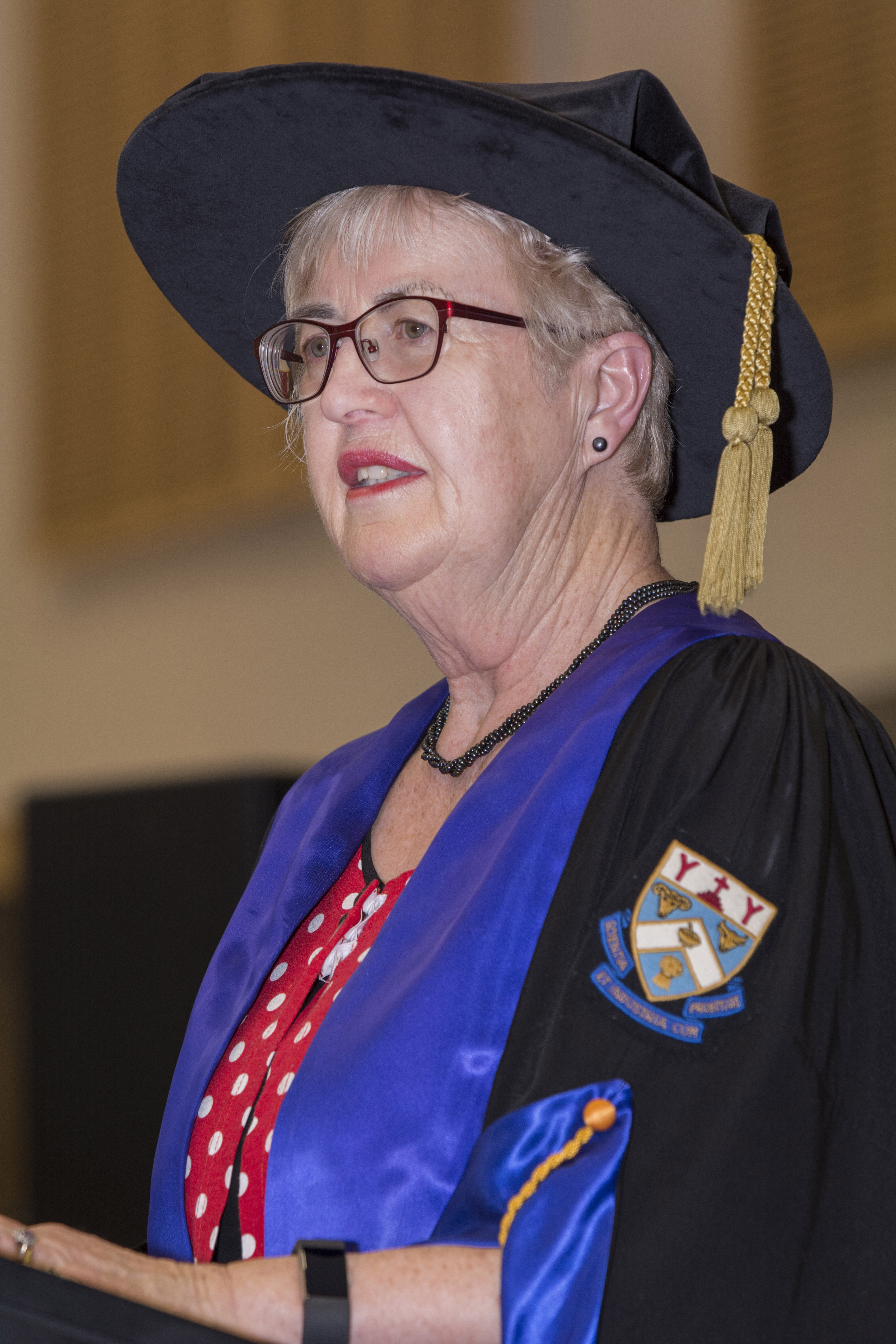 2017 Lincoln University Graduation Ceremony 258