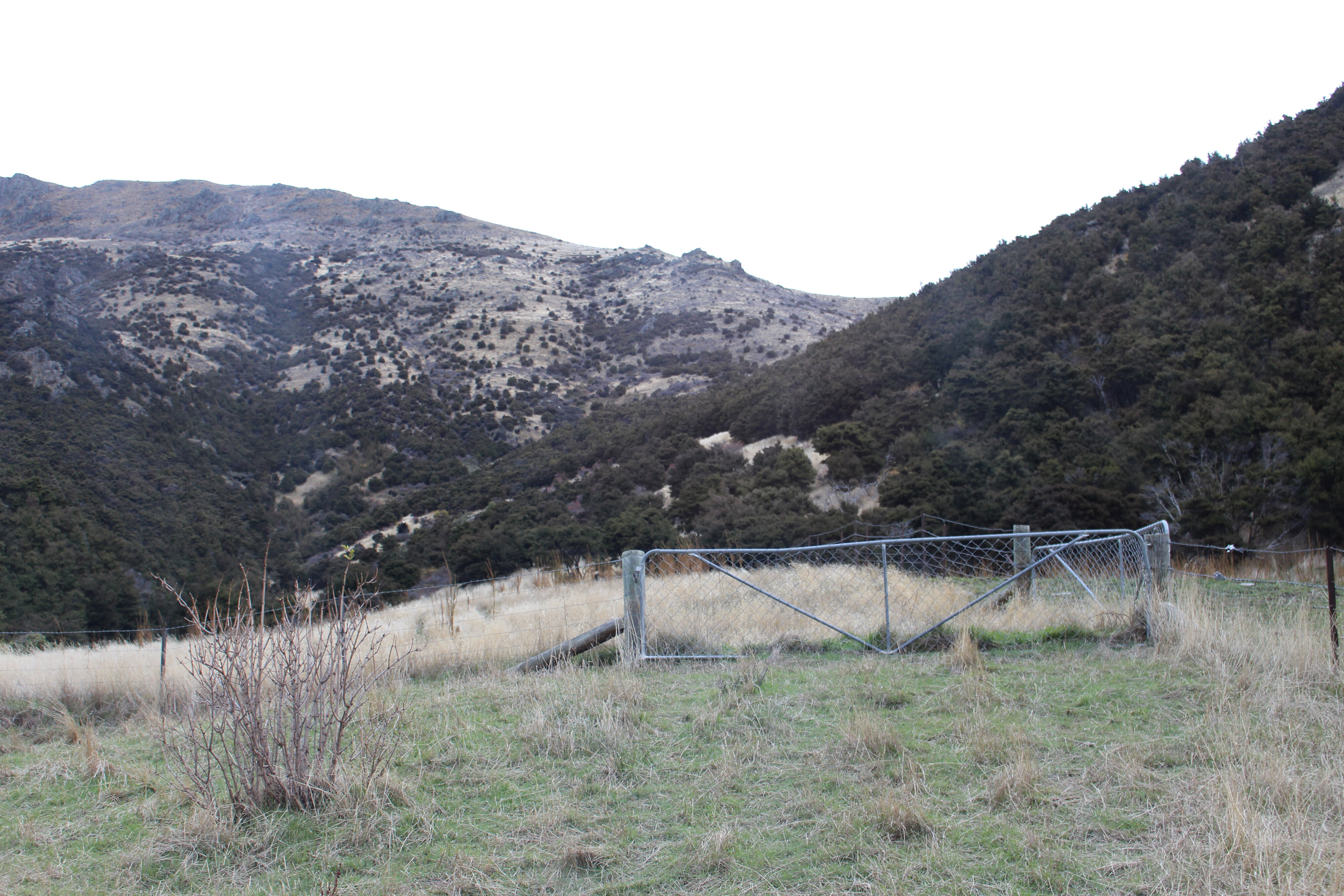 2017 LU Farm Mt Grand 049