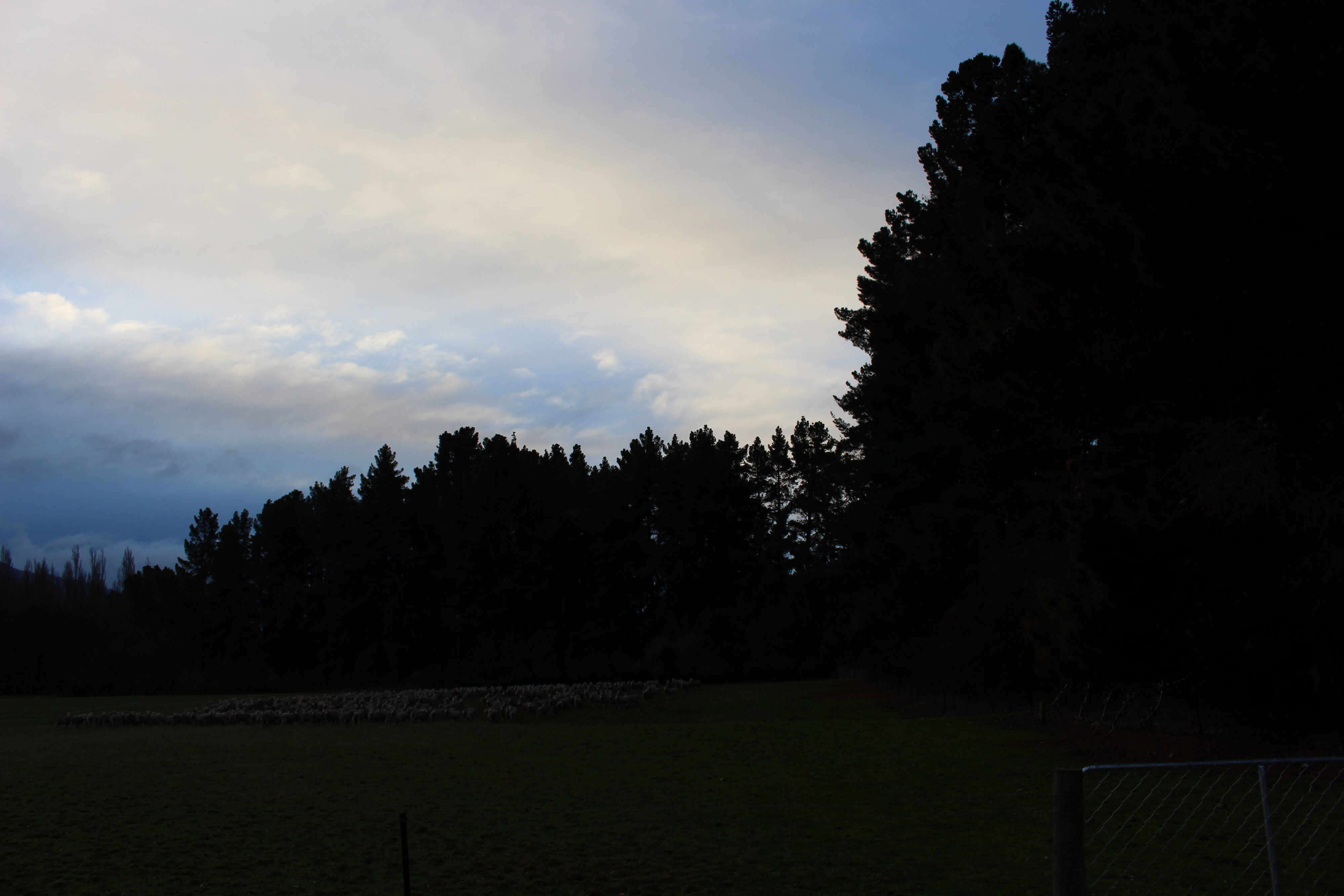 2017 LU Farm Mt Grand 065