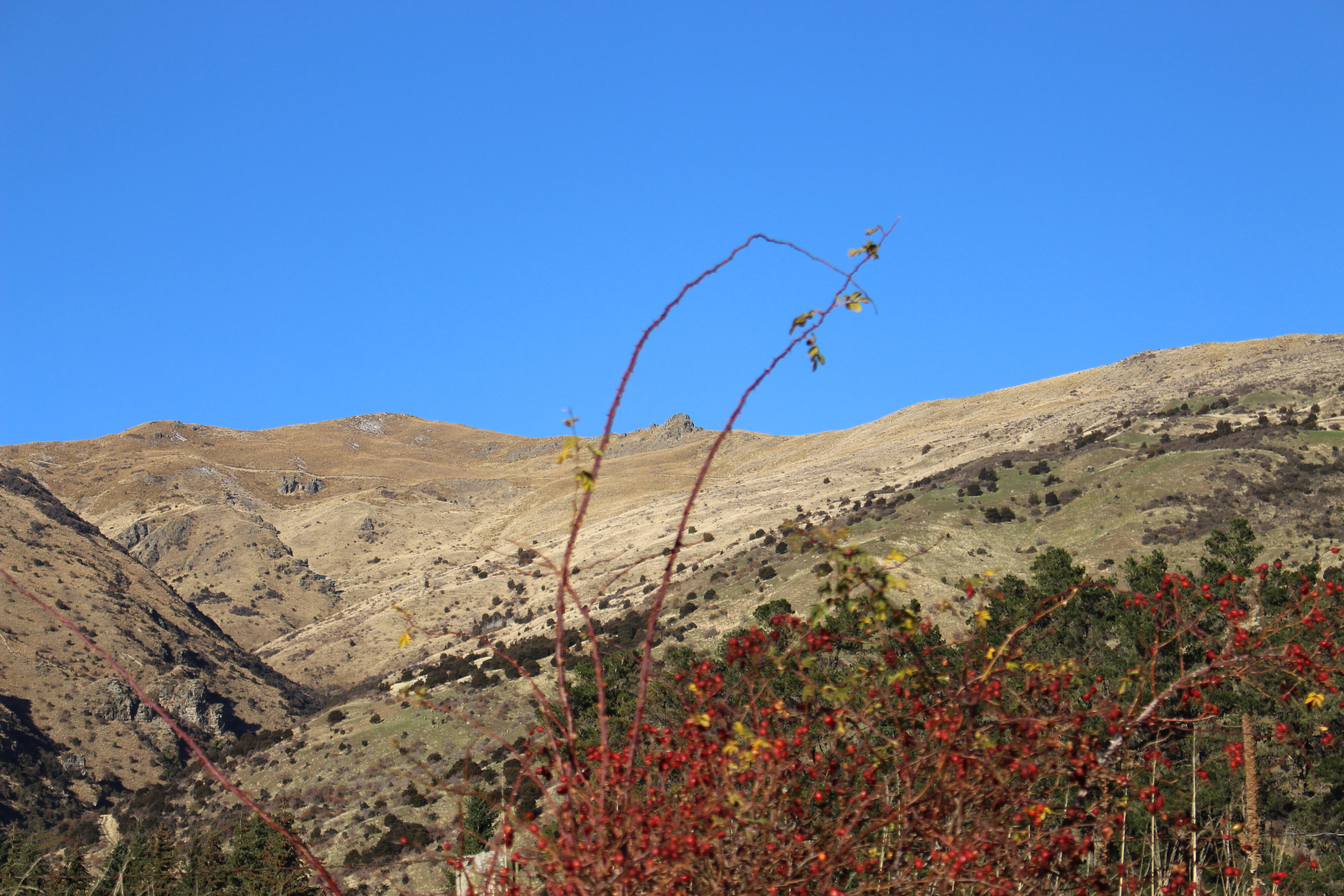 2017 LU Farm Mt Grand 100