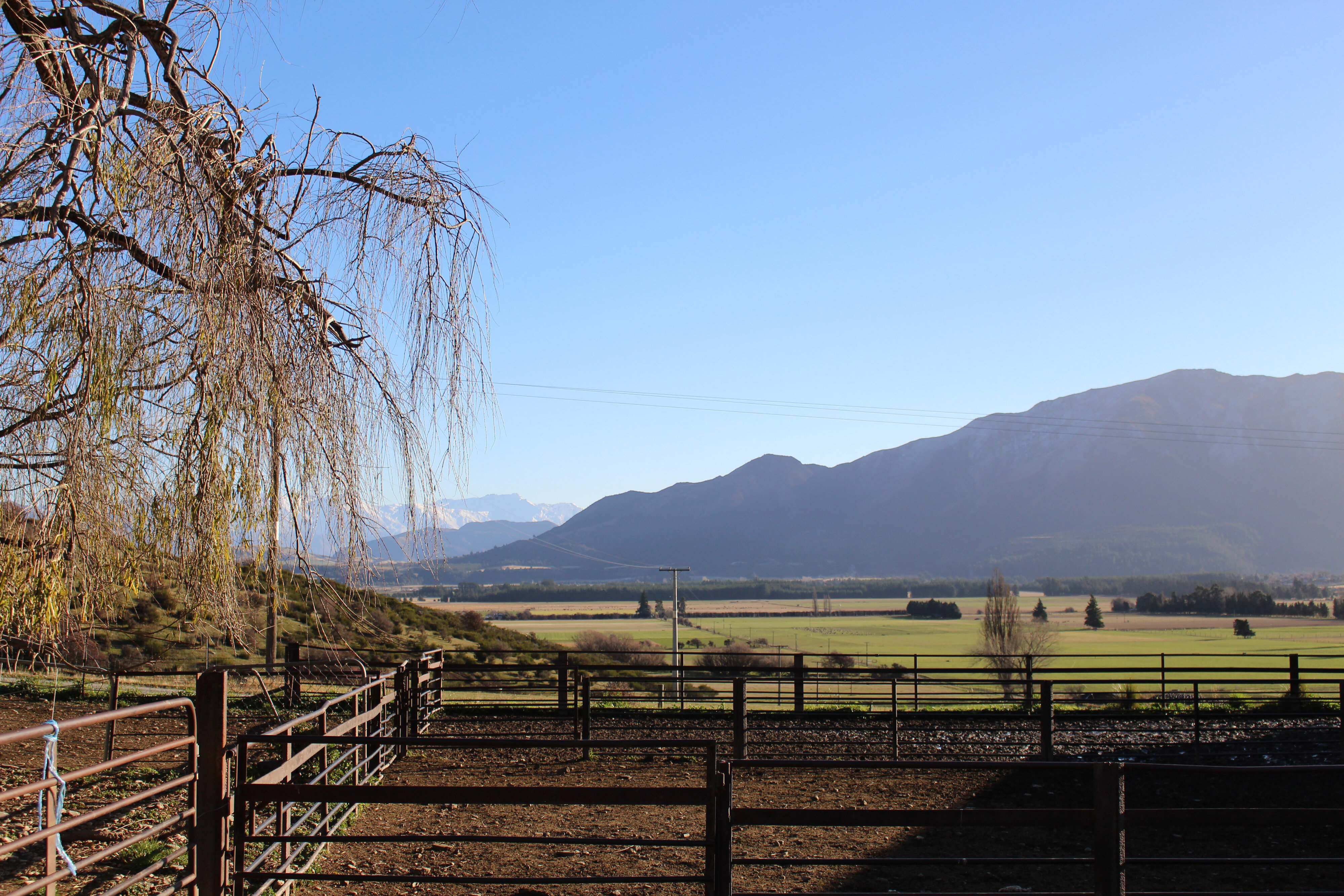 2017 LU Farm Mt Grand 085