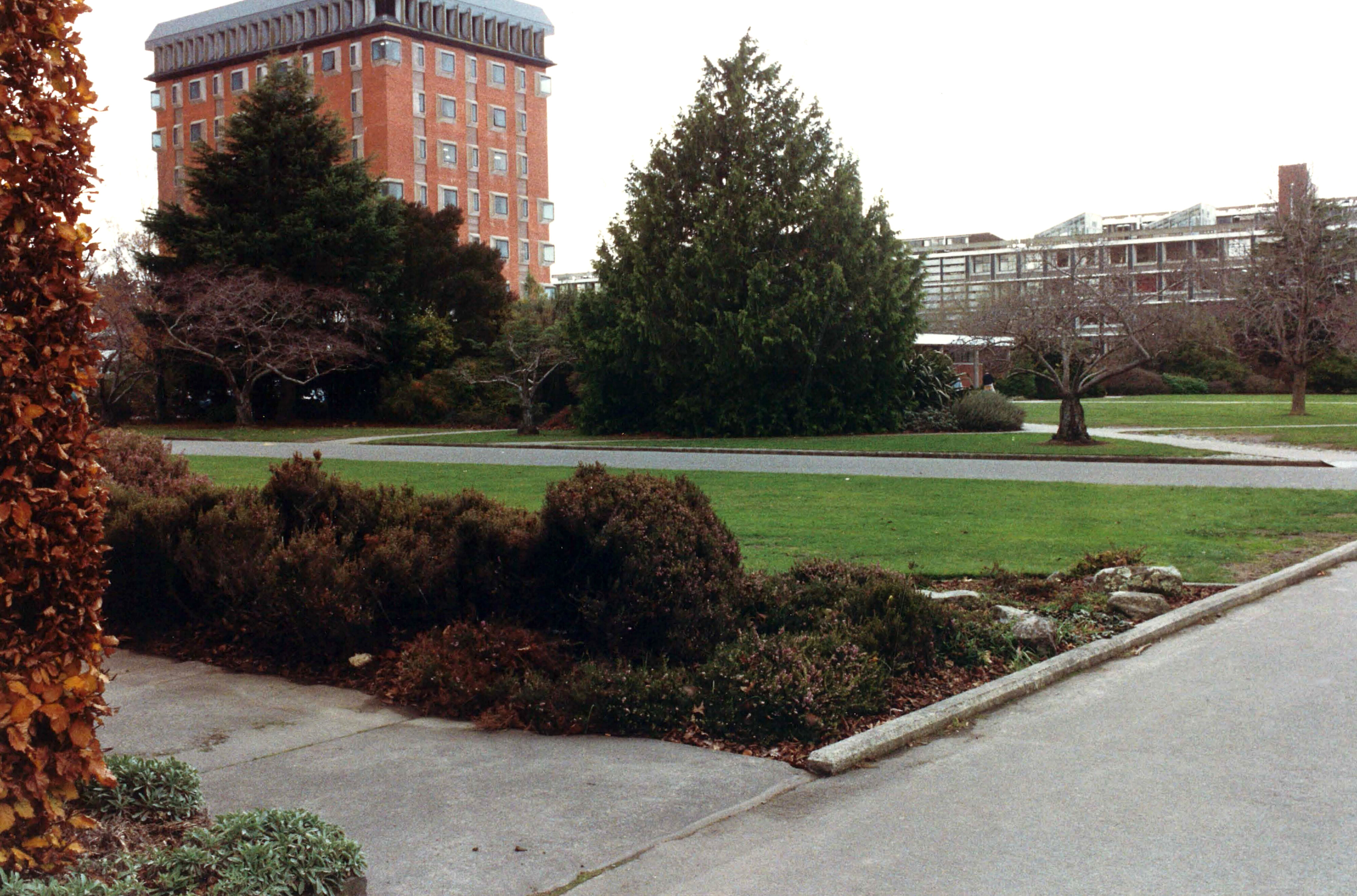 Photo of Registry  and lecture rooms site 2
