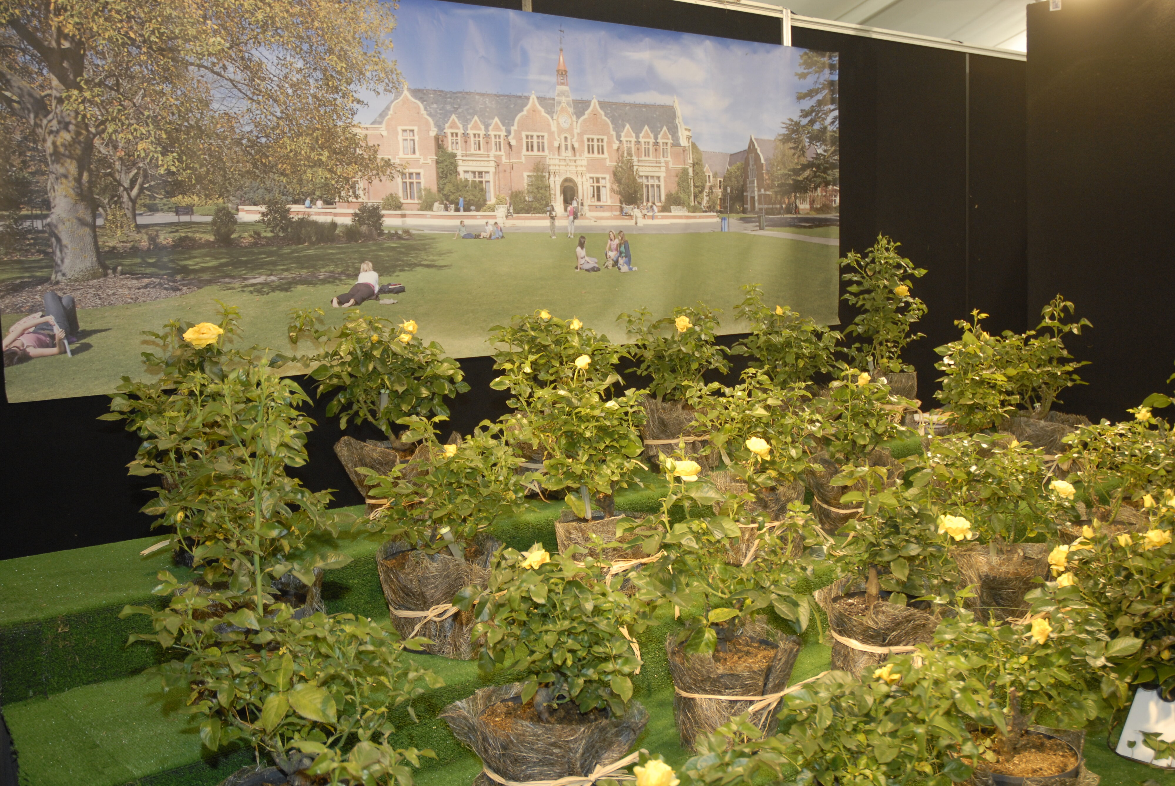  2009 Ellerslie Flower Show 030