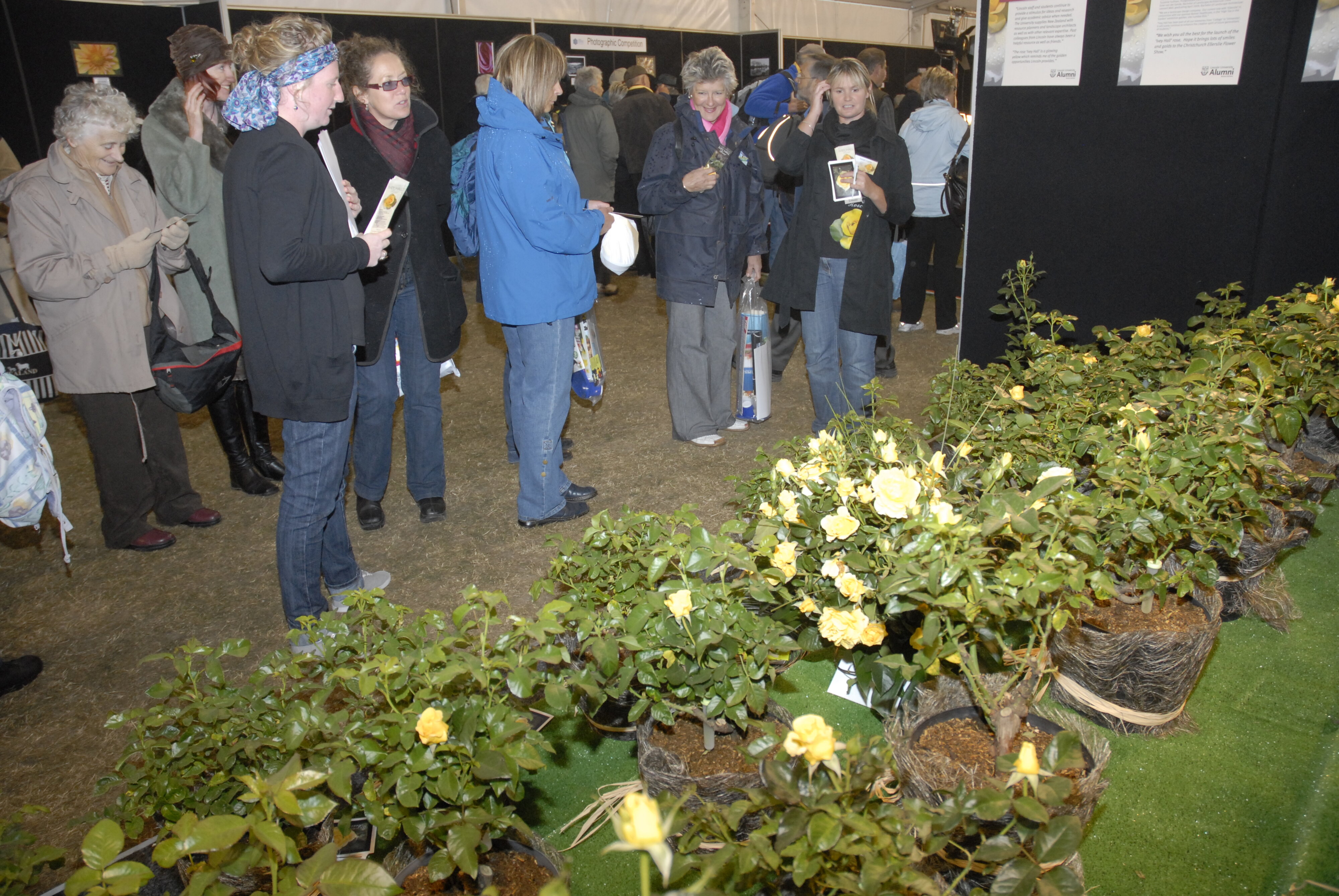  2009 Ellerslie Flower Show 038