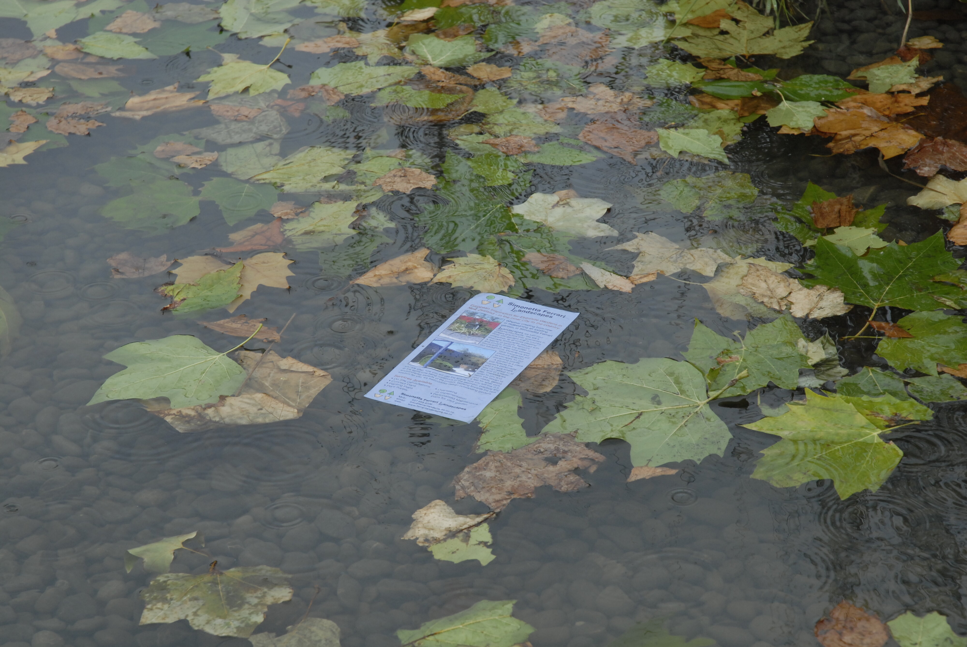  2009 Ellerslie Flower Show 045