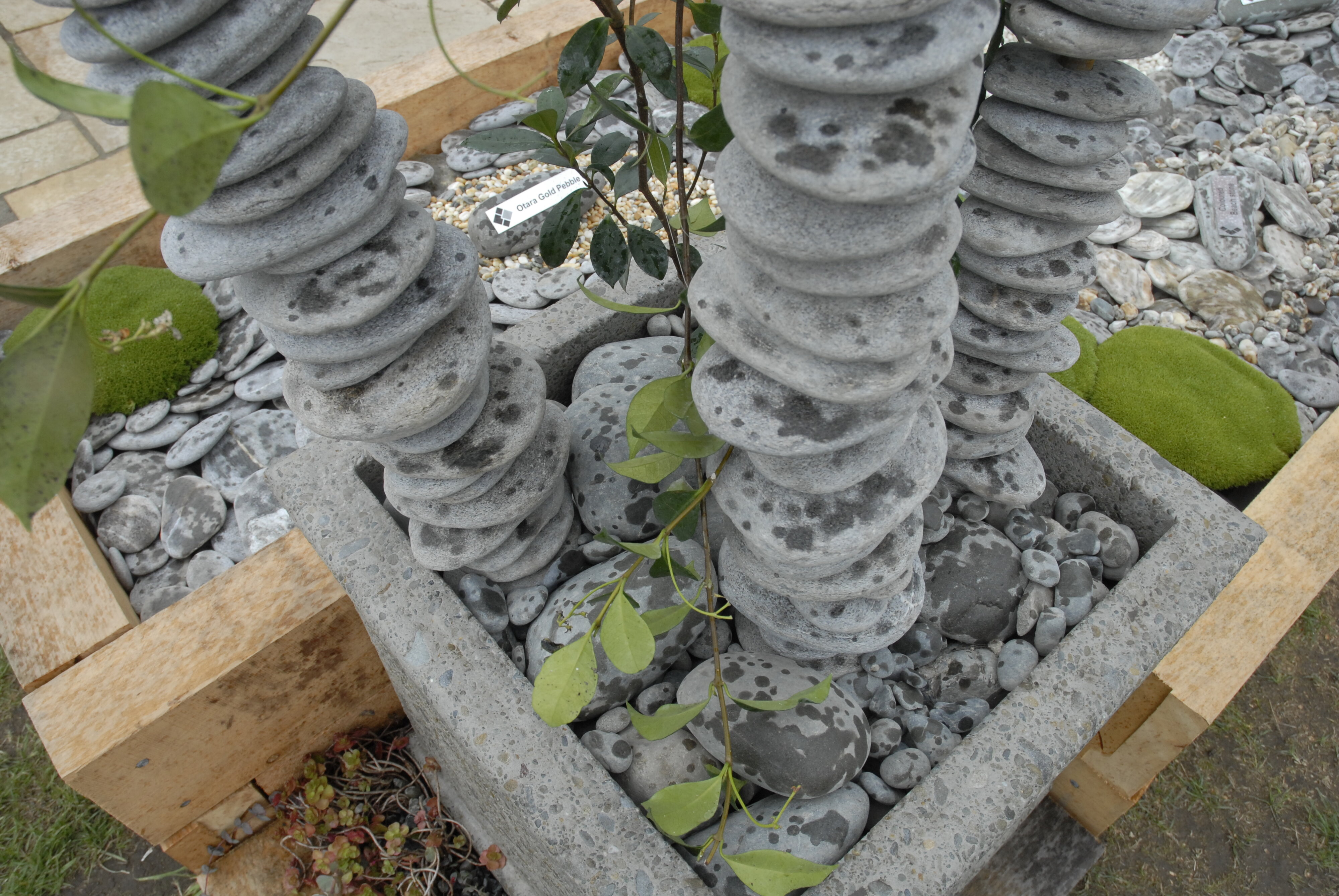  2009 Ellerslie Flower Show 049