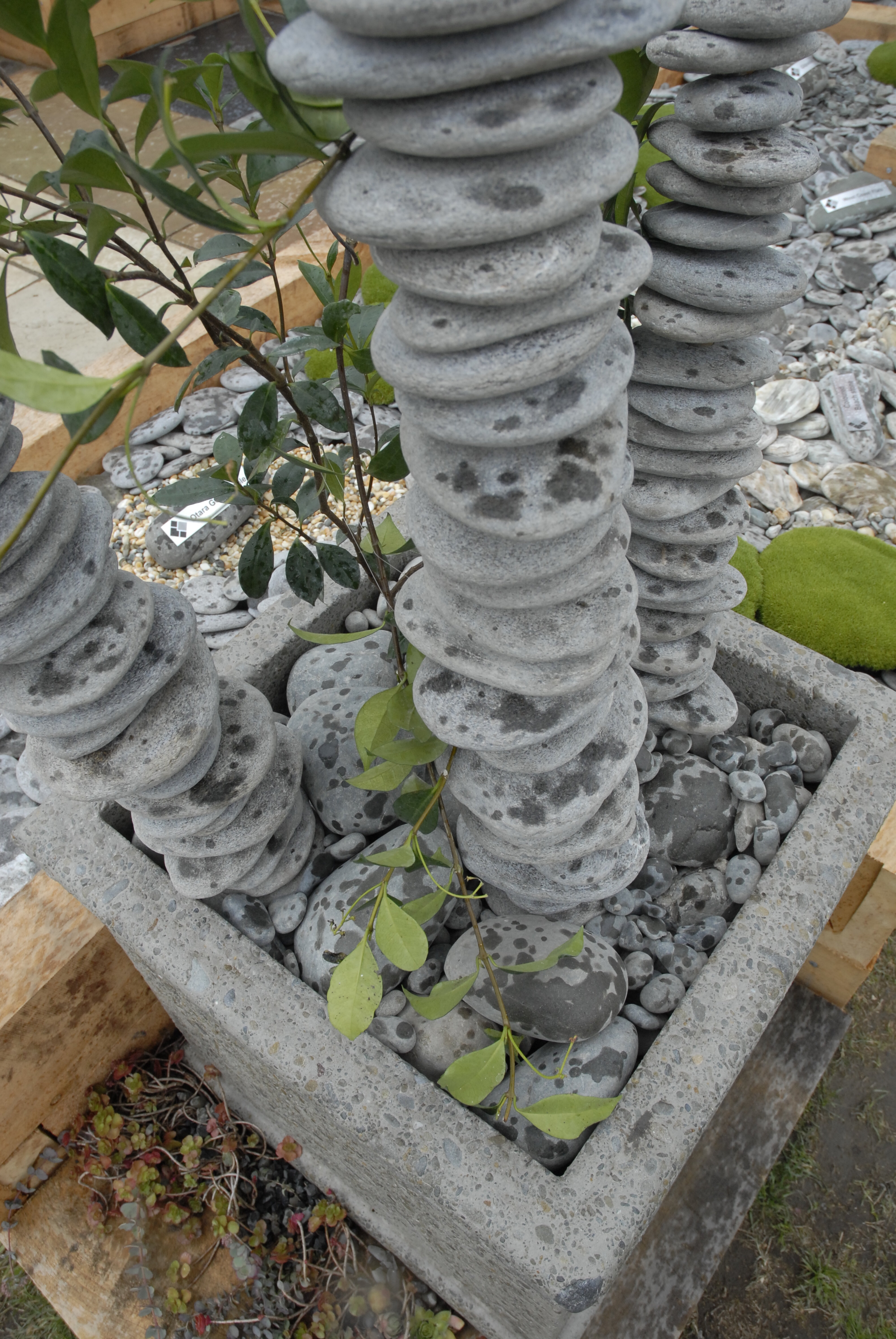  2009 Ellerslie Flower Show 050