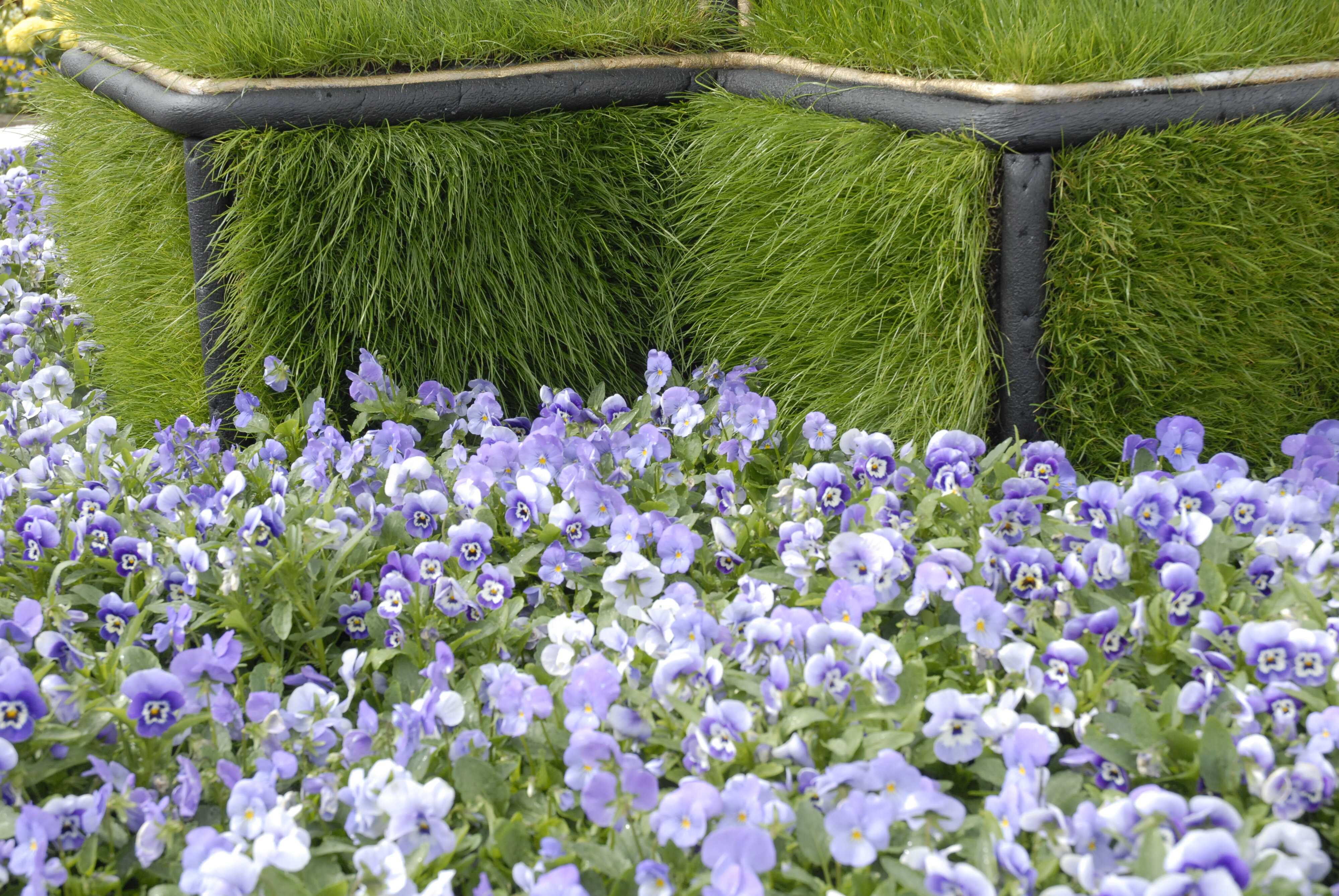  2009 Ellerslie Flower Show 061