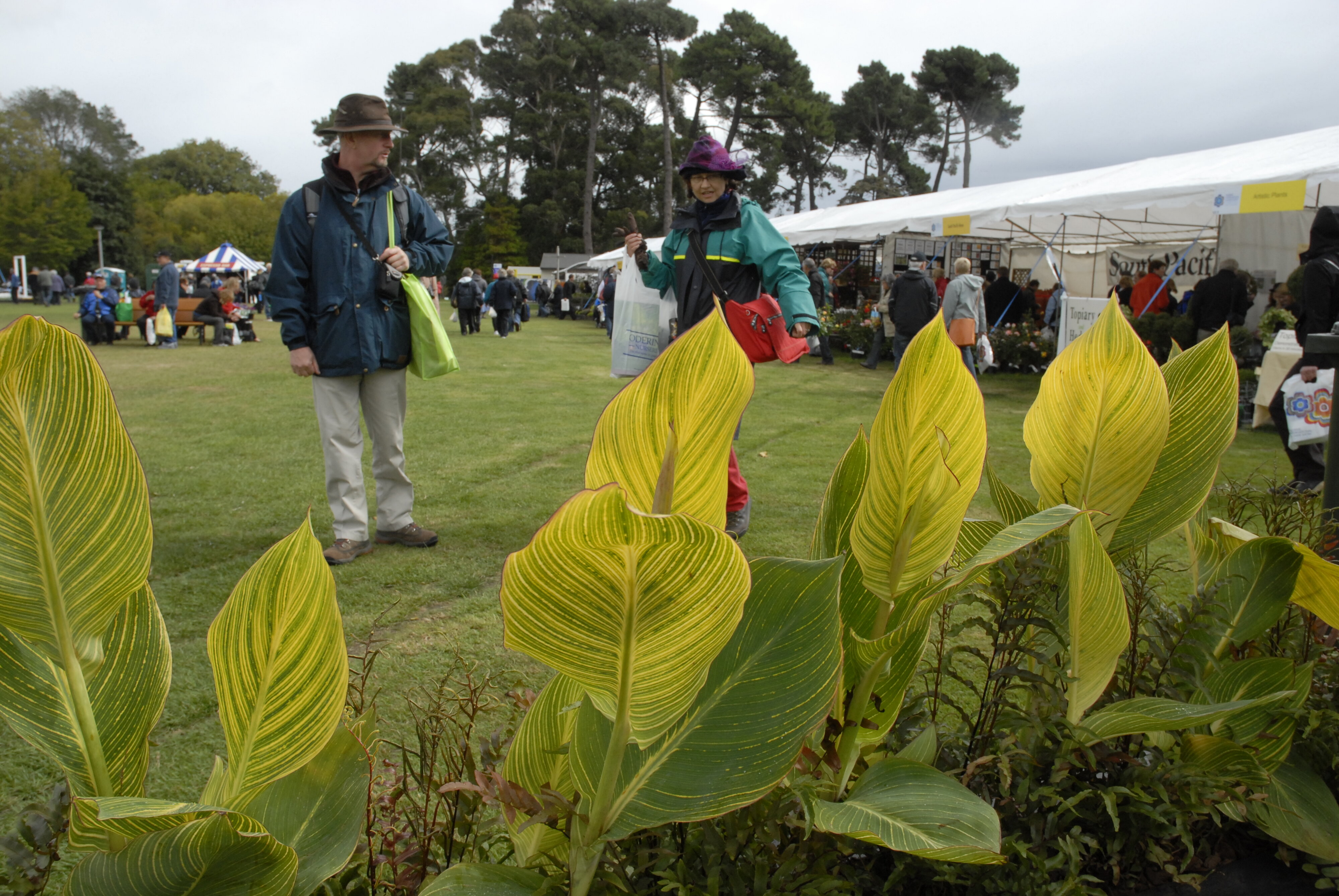  2009 Ellerslie Flower Show 063