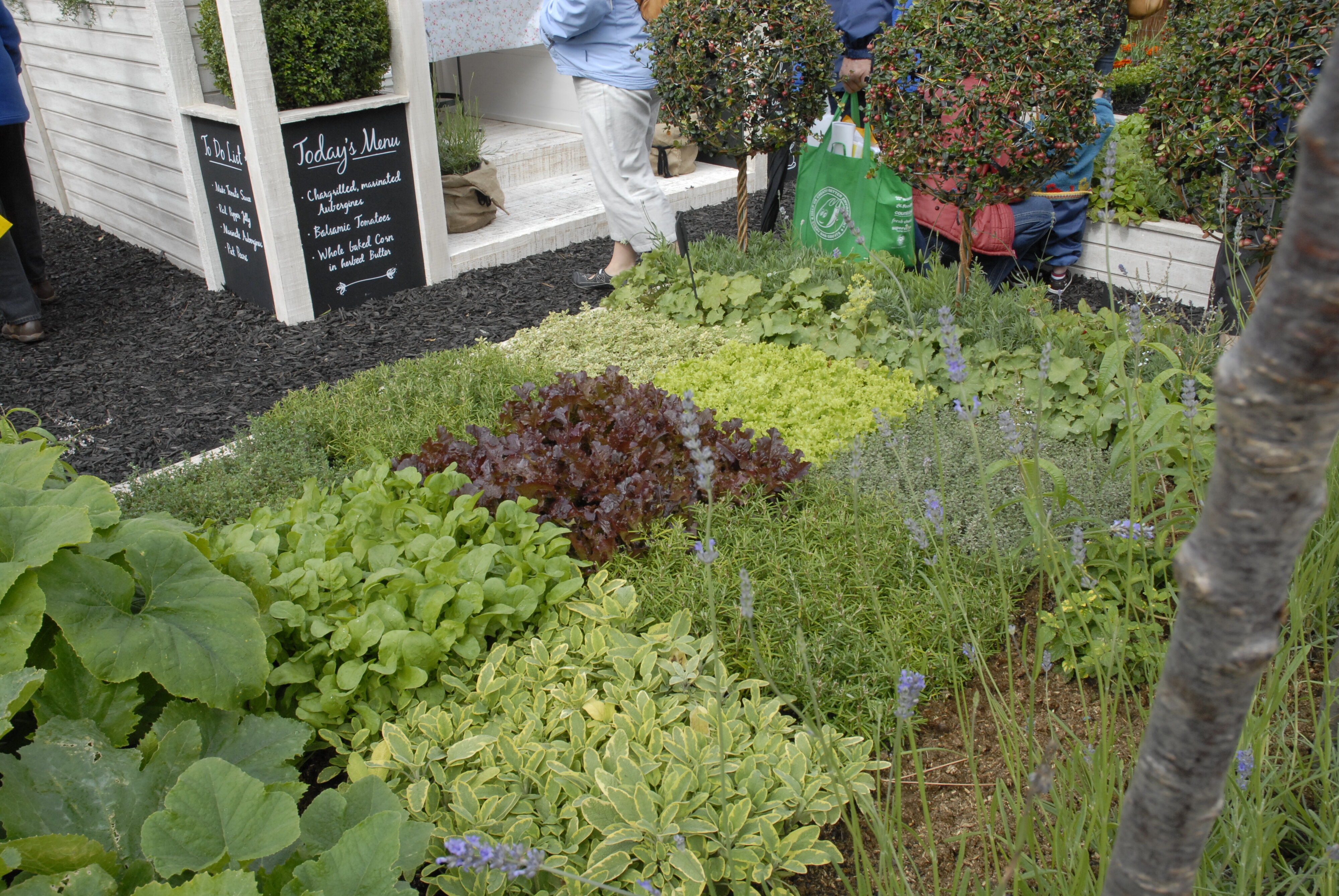  2009 Ellerslie Flower Show 073