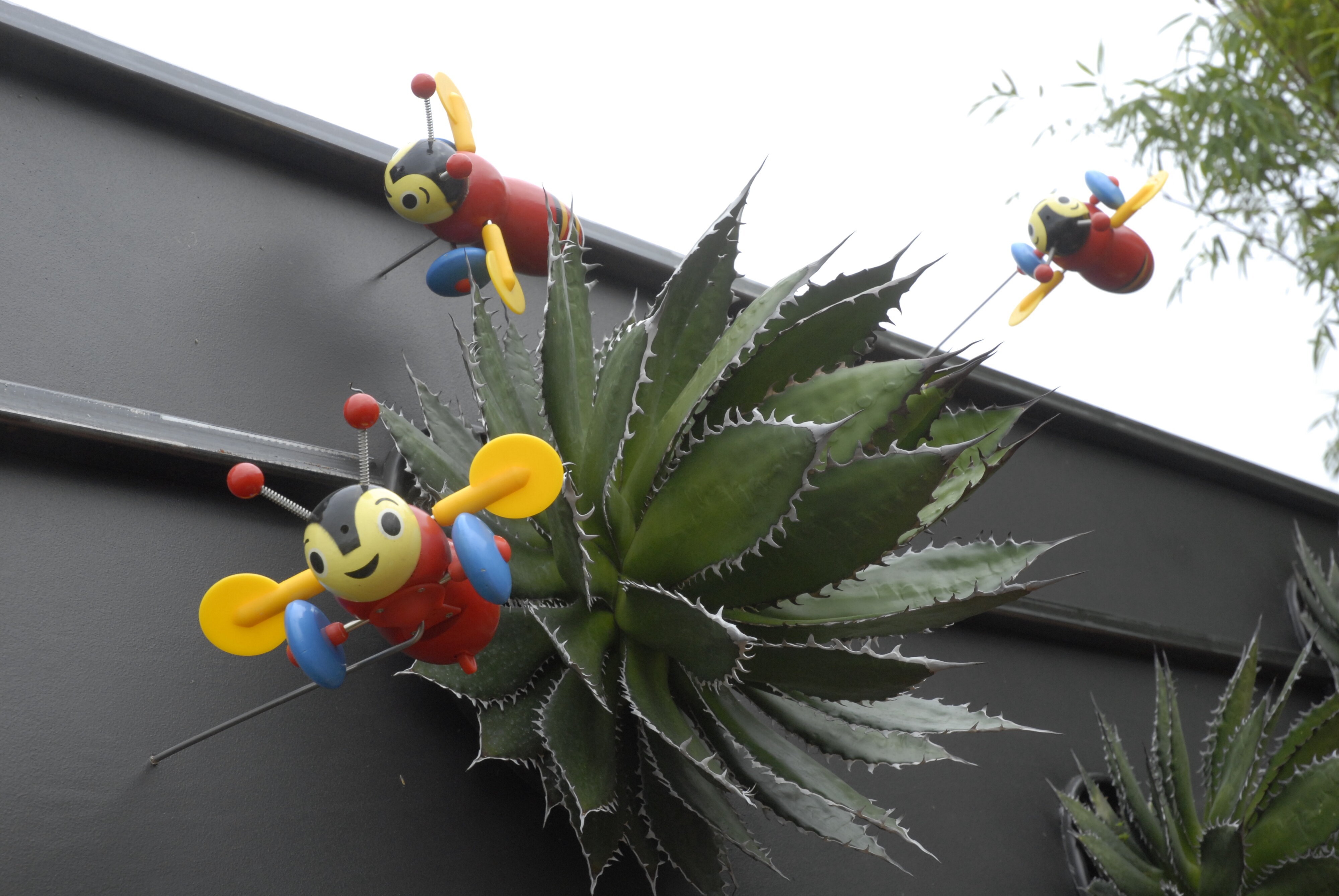  2009 Ellerslie Flower Show 082