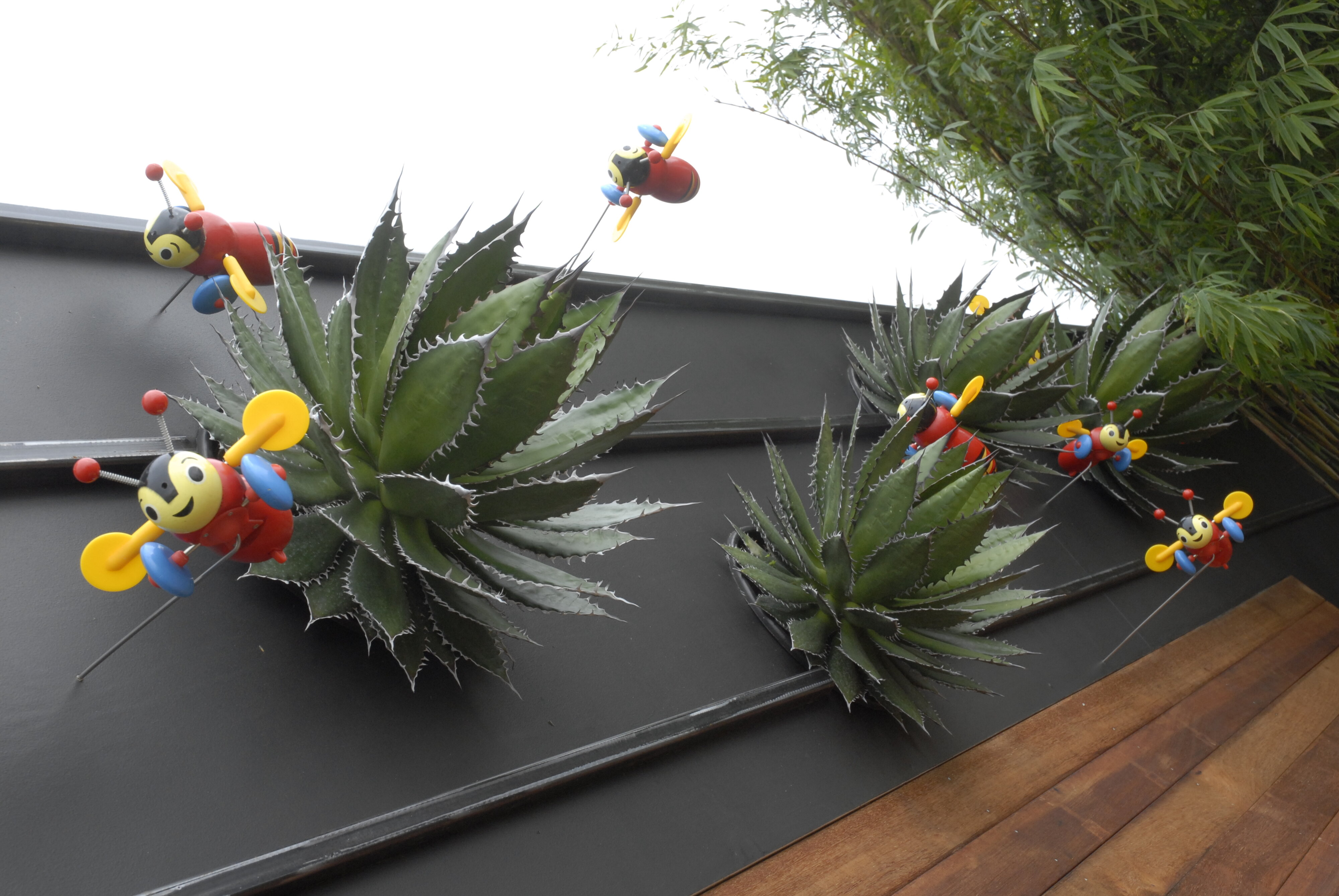  2009 Ellerslie Flower Show 083