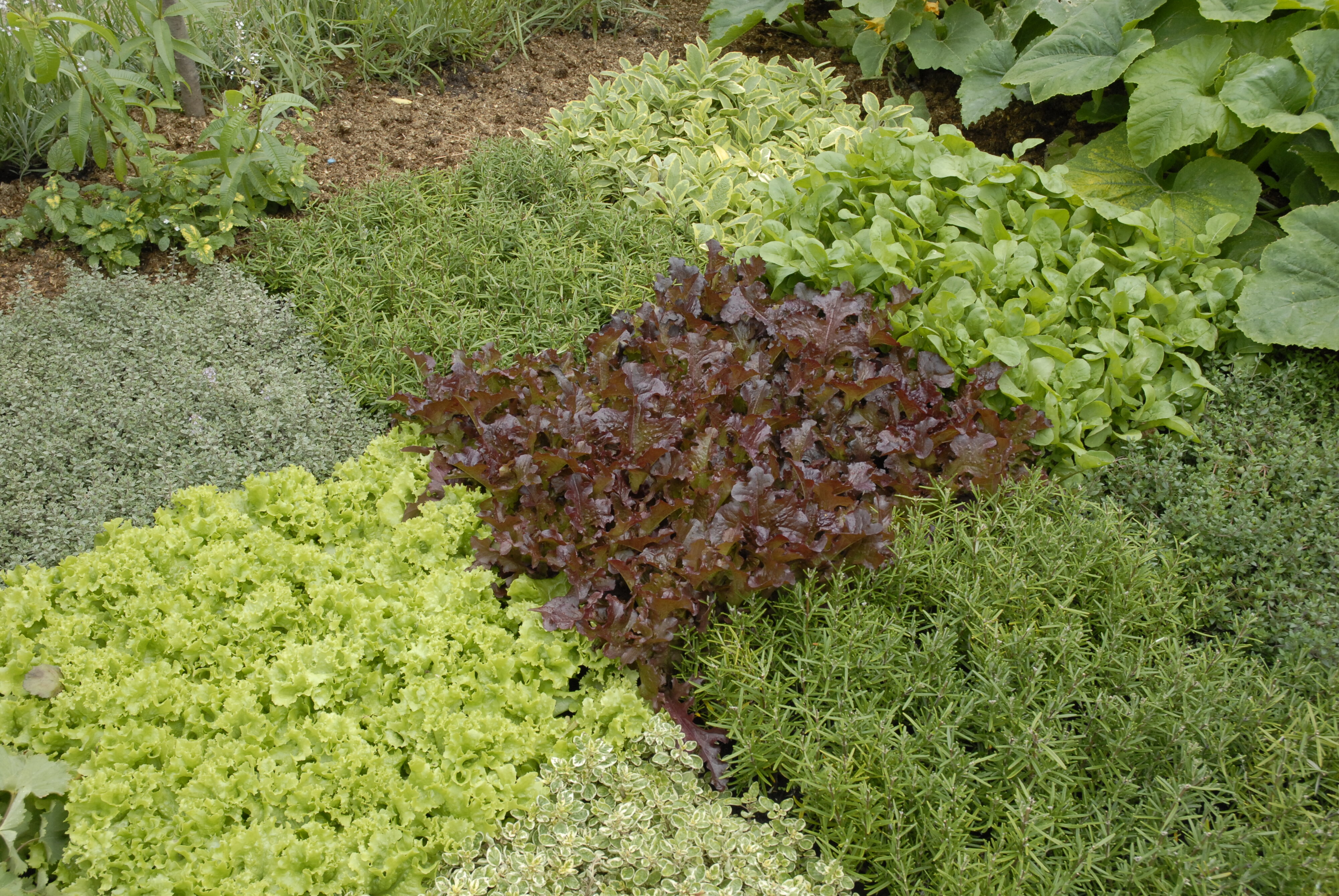  2009 Ellerslie Flower Show 087