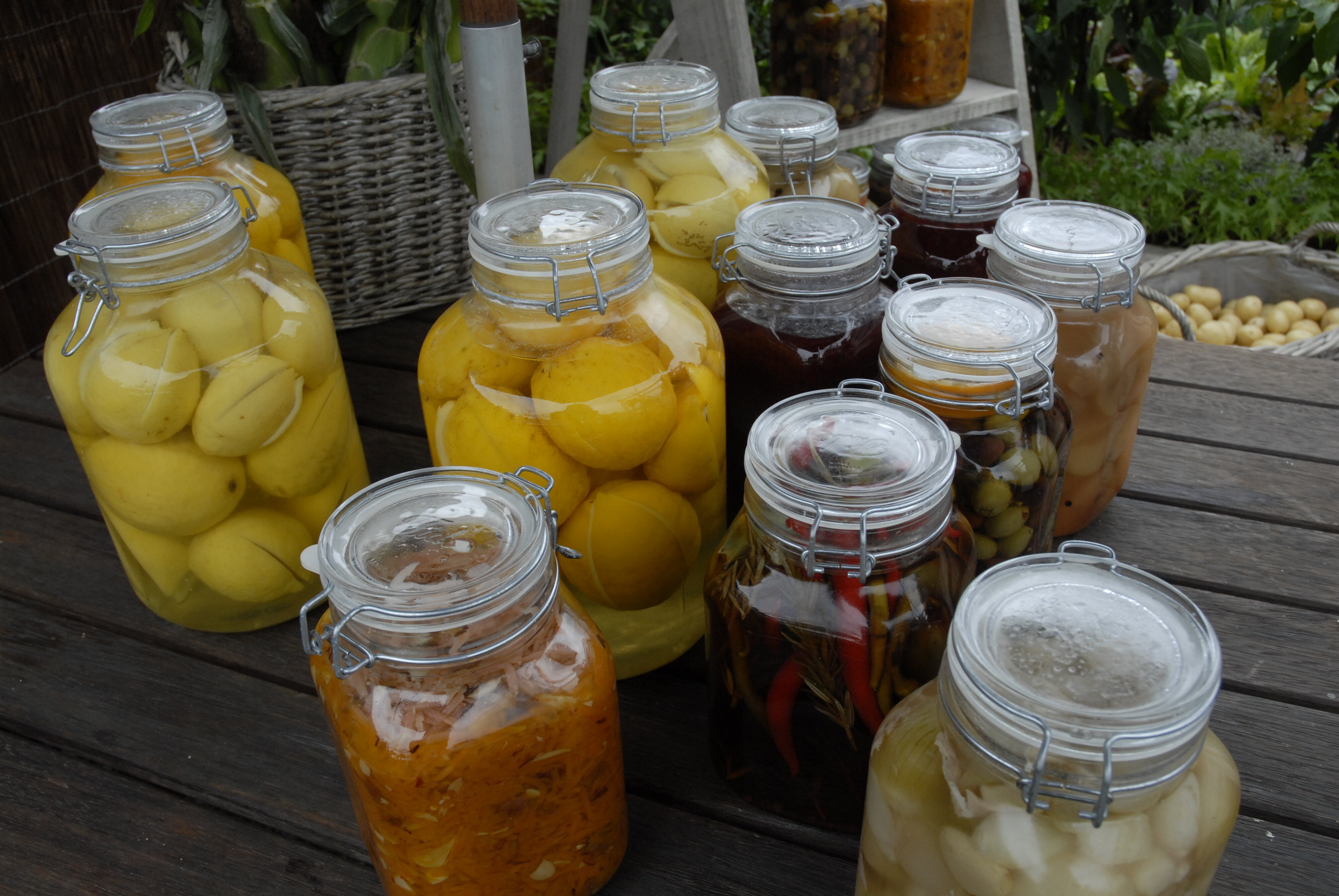  2009 Ellerslie Flower Show 090