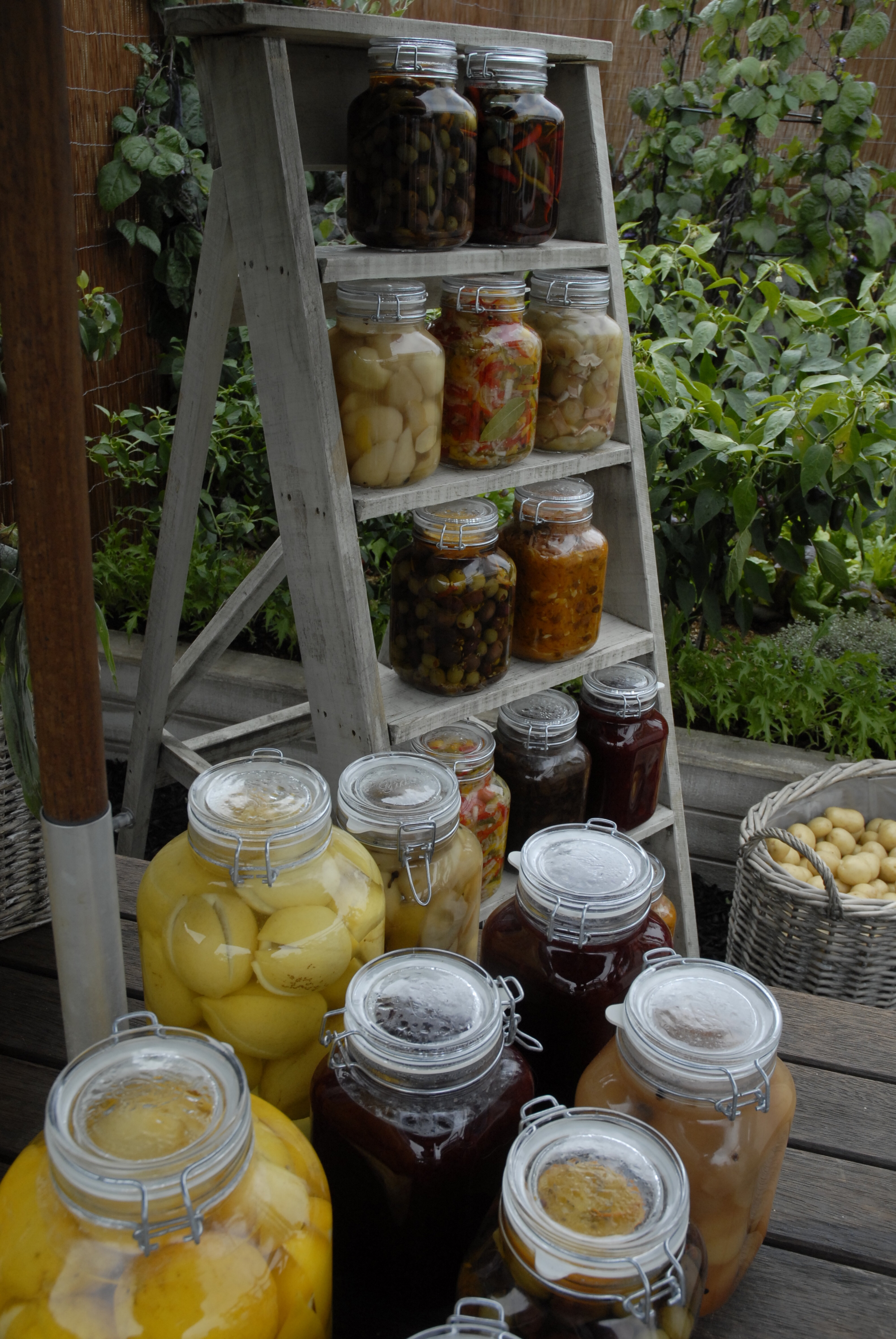  2009 Ellerslie Flower Show 091