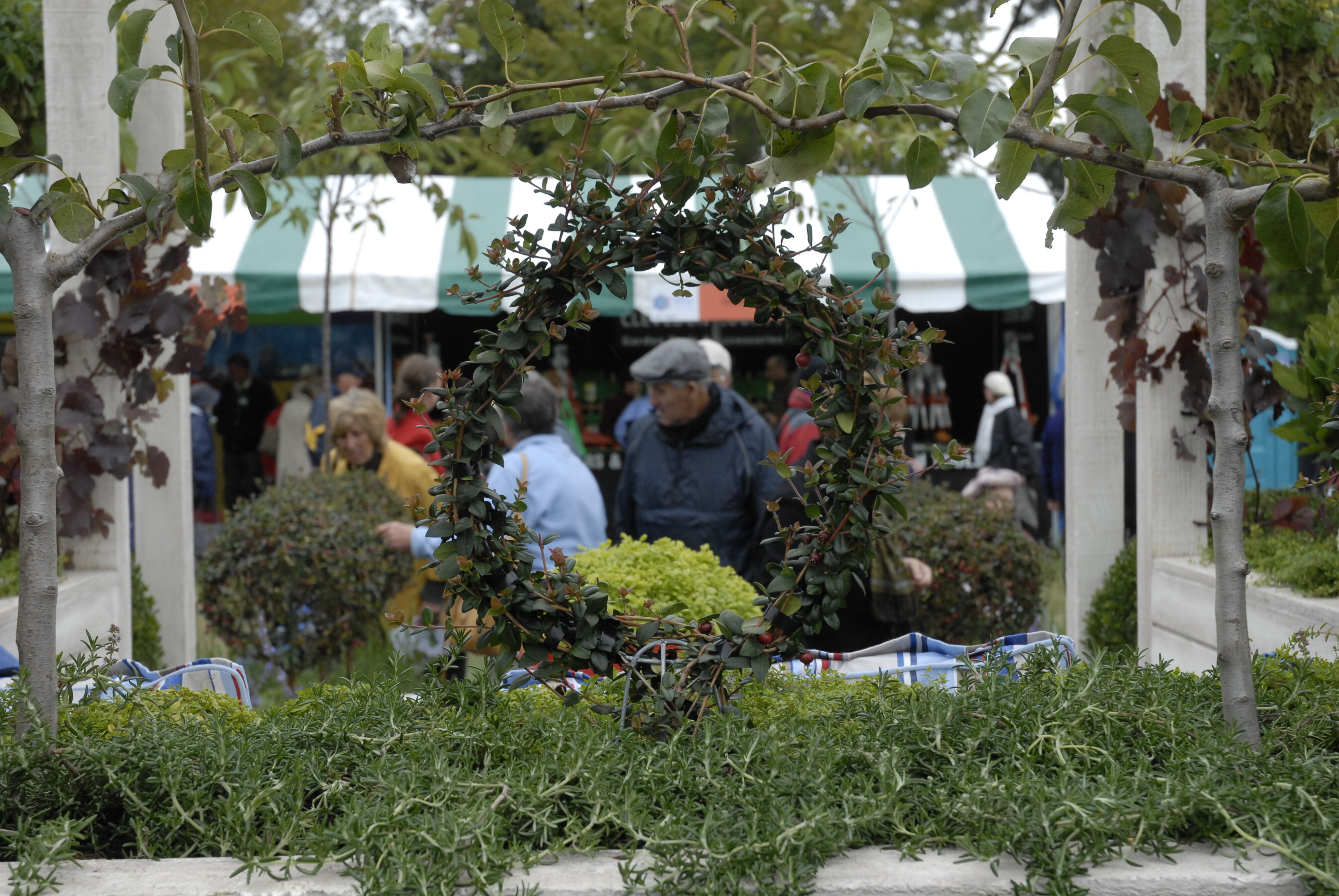  2009 Ellerslie Flower Show 096