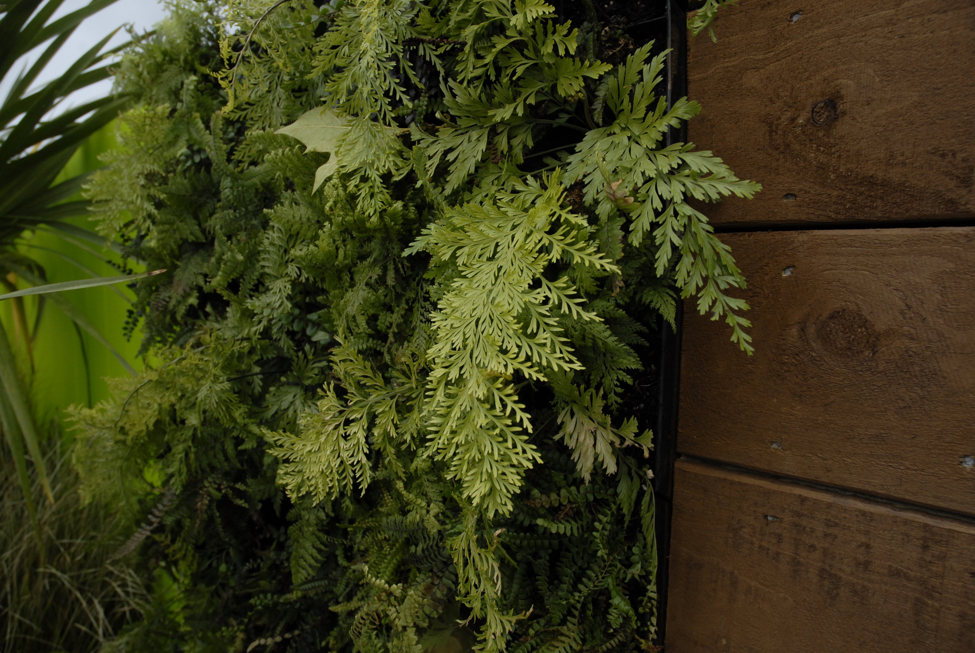  2009 Ellerslie Flower Show 106