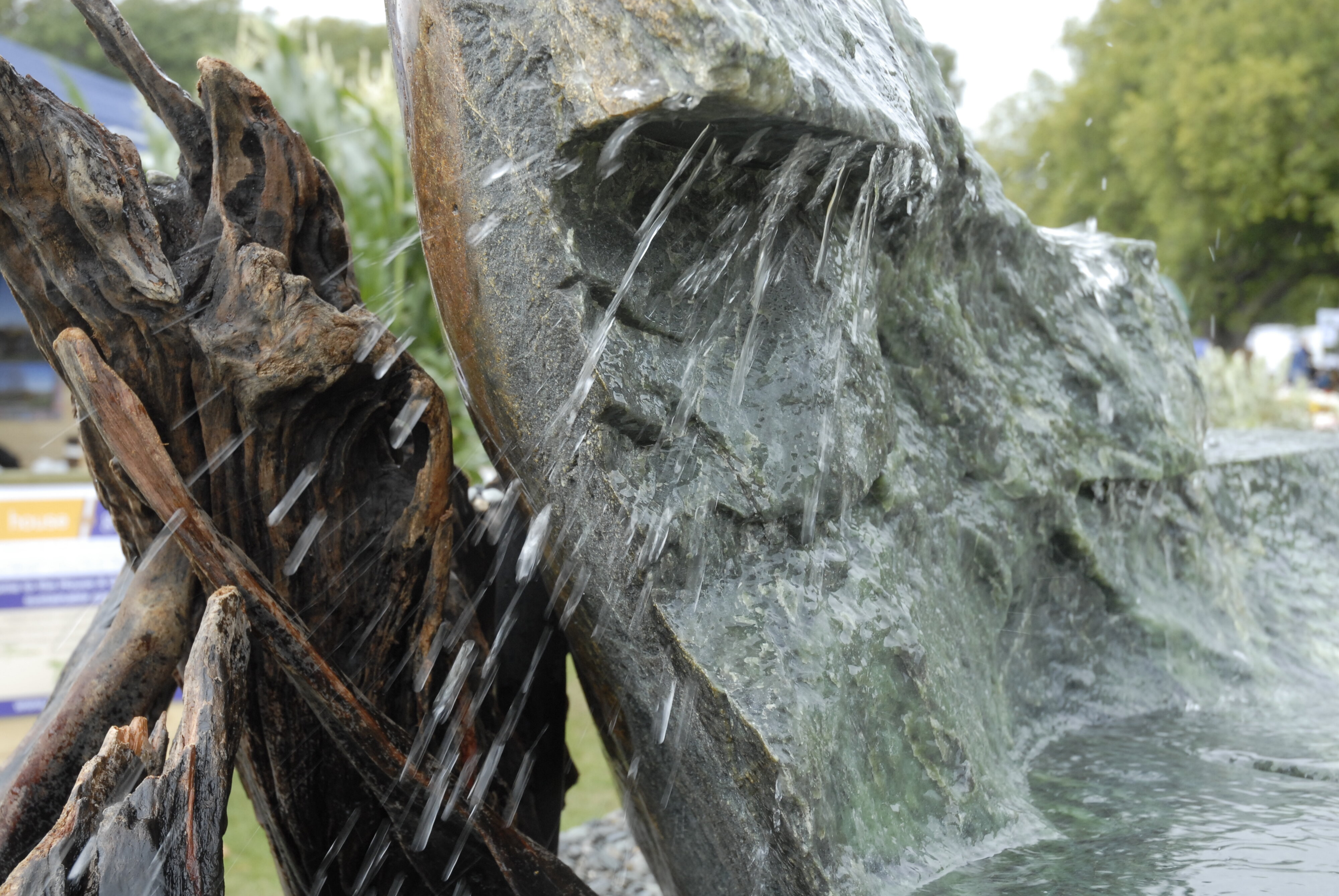  2009 Ellerslie Flower Show 107