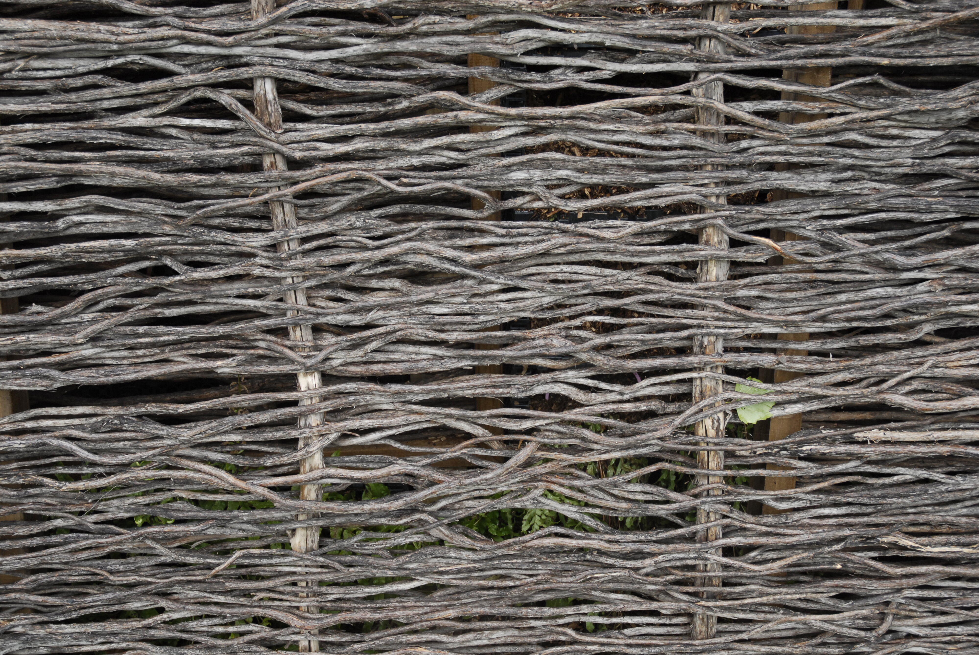  2009 Ellerslie Flower Show 109