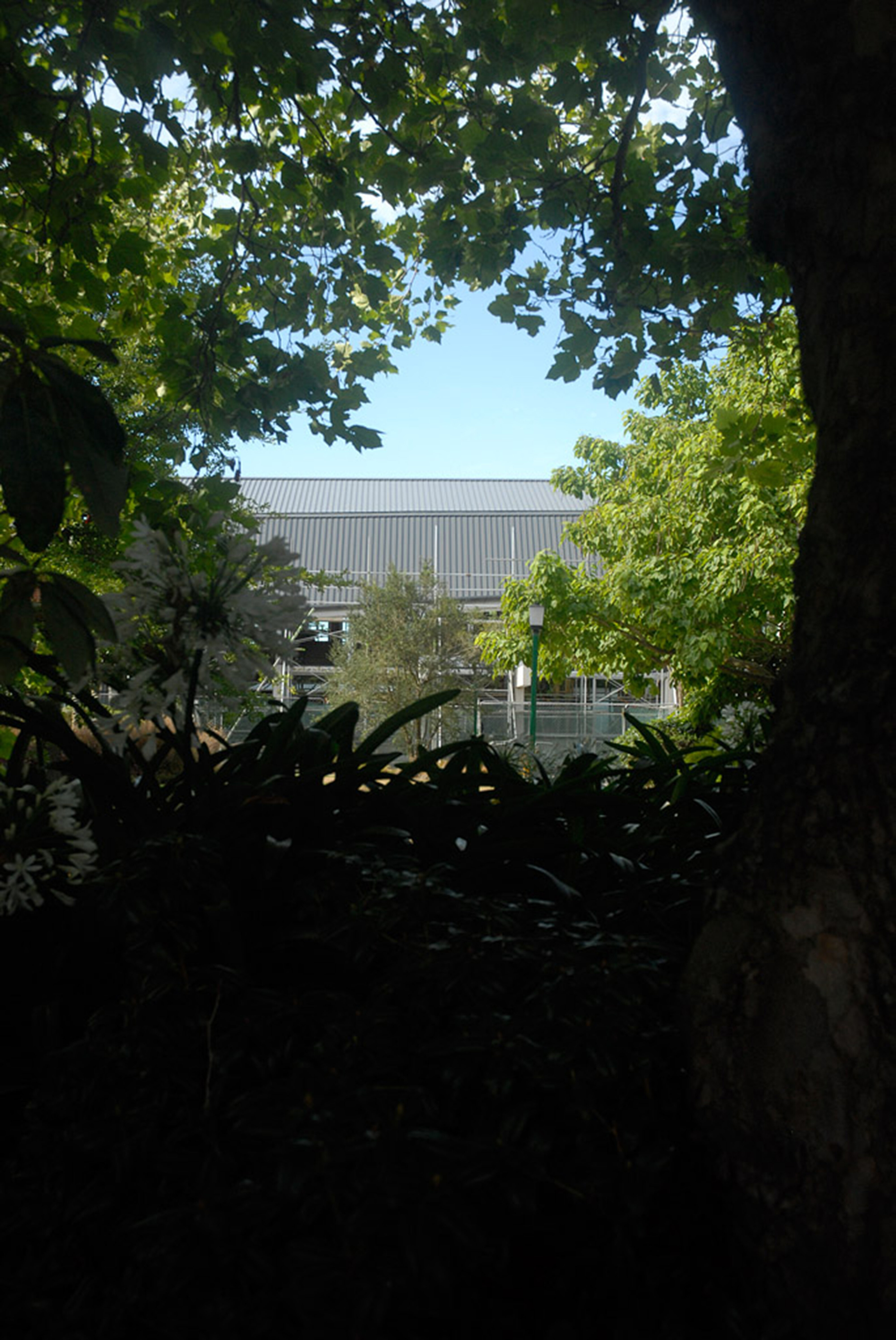 2008-2009 SoLA Building Construction 2009-02-09  097