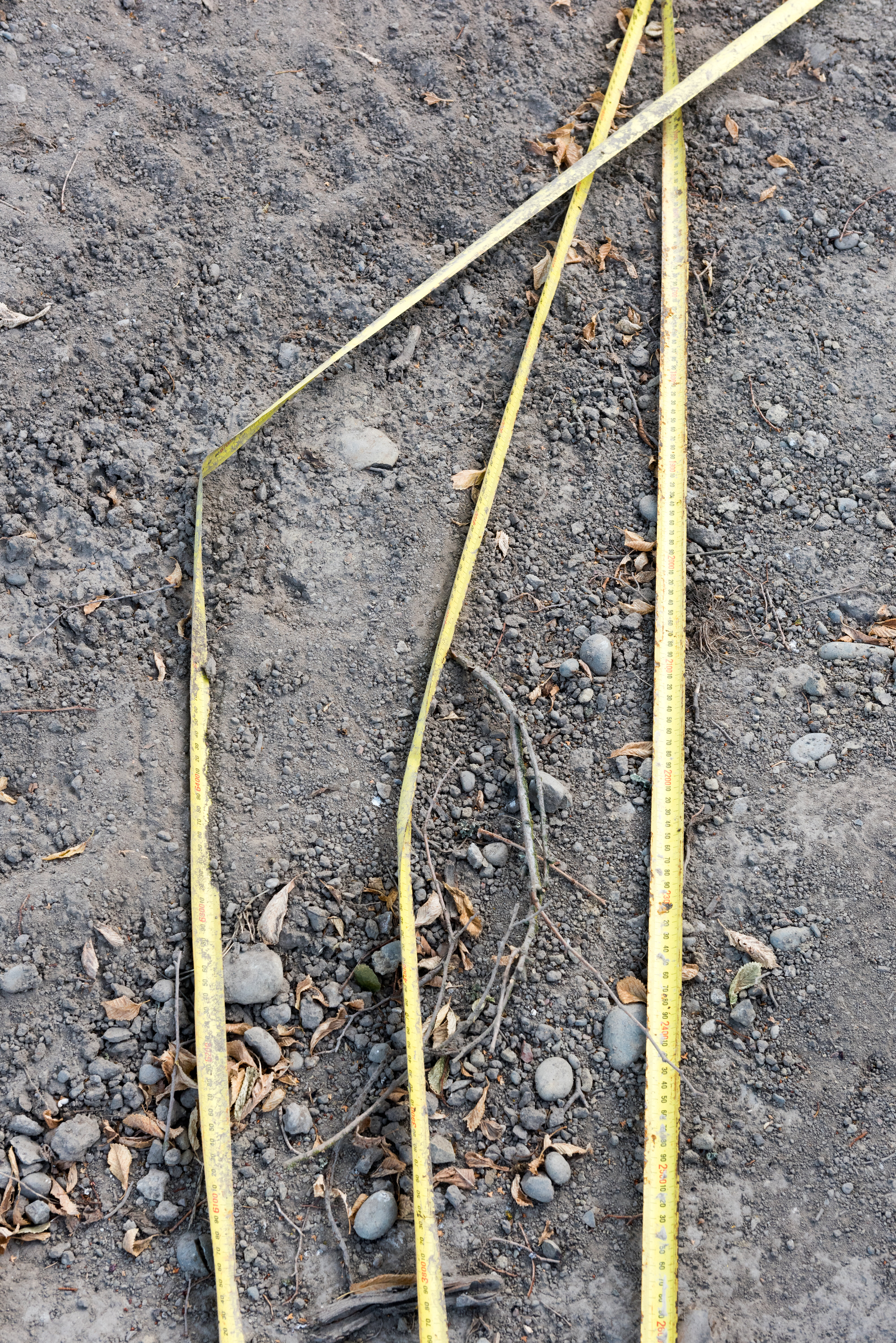 2016 SoLA Vertical Studio 2016-03-04  00