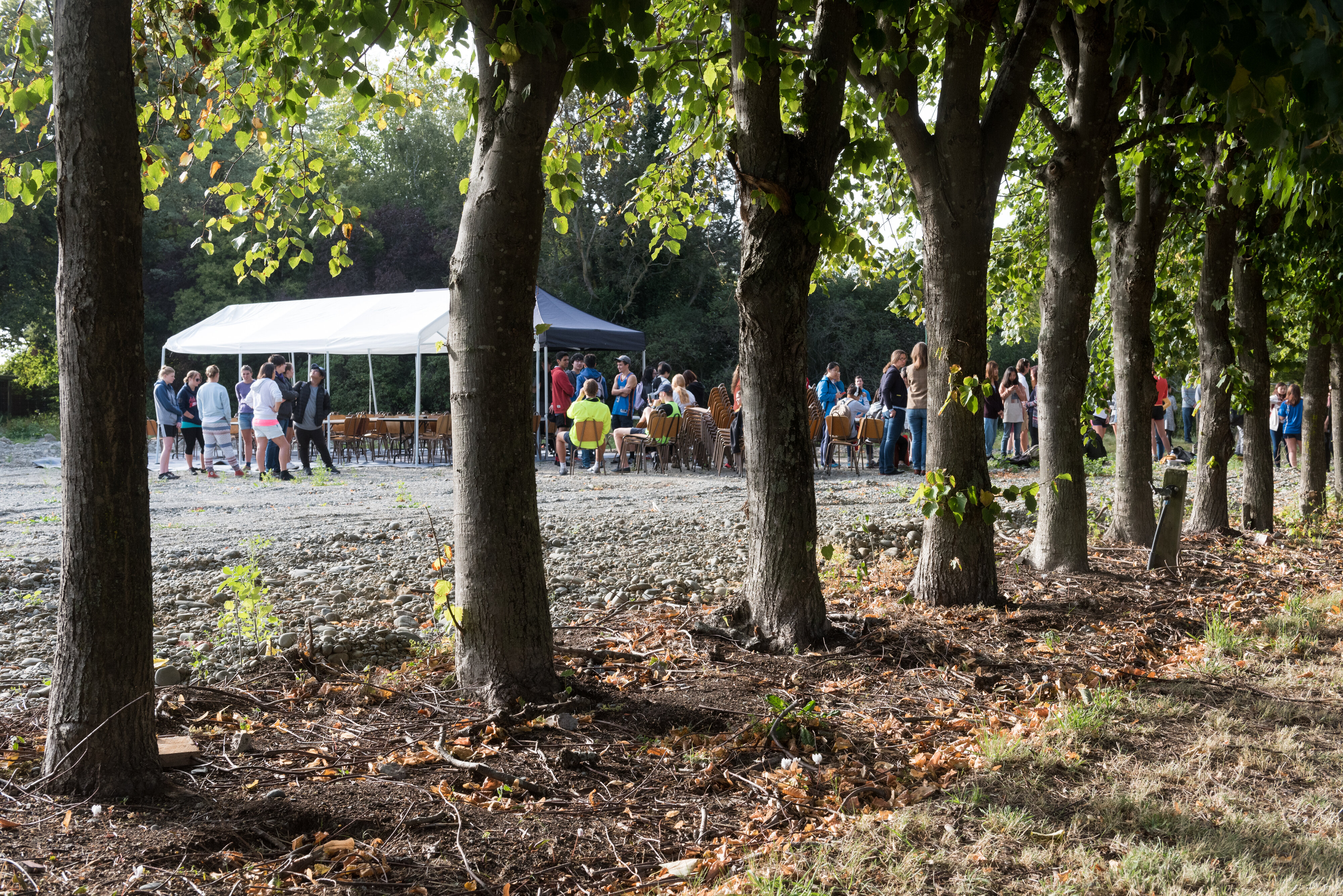 2016 SoLA Vertical Studio 2016-03-04  13 (1)