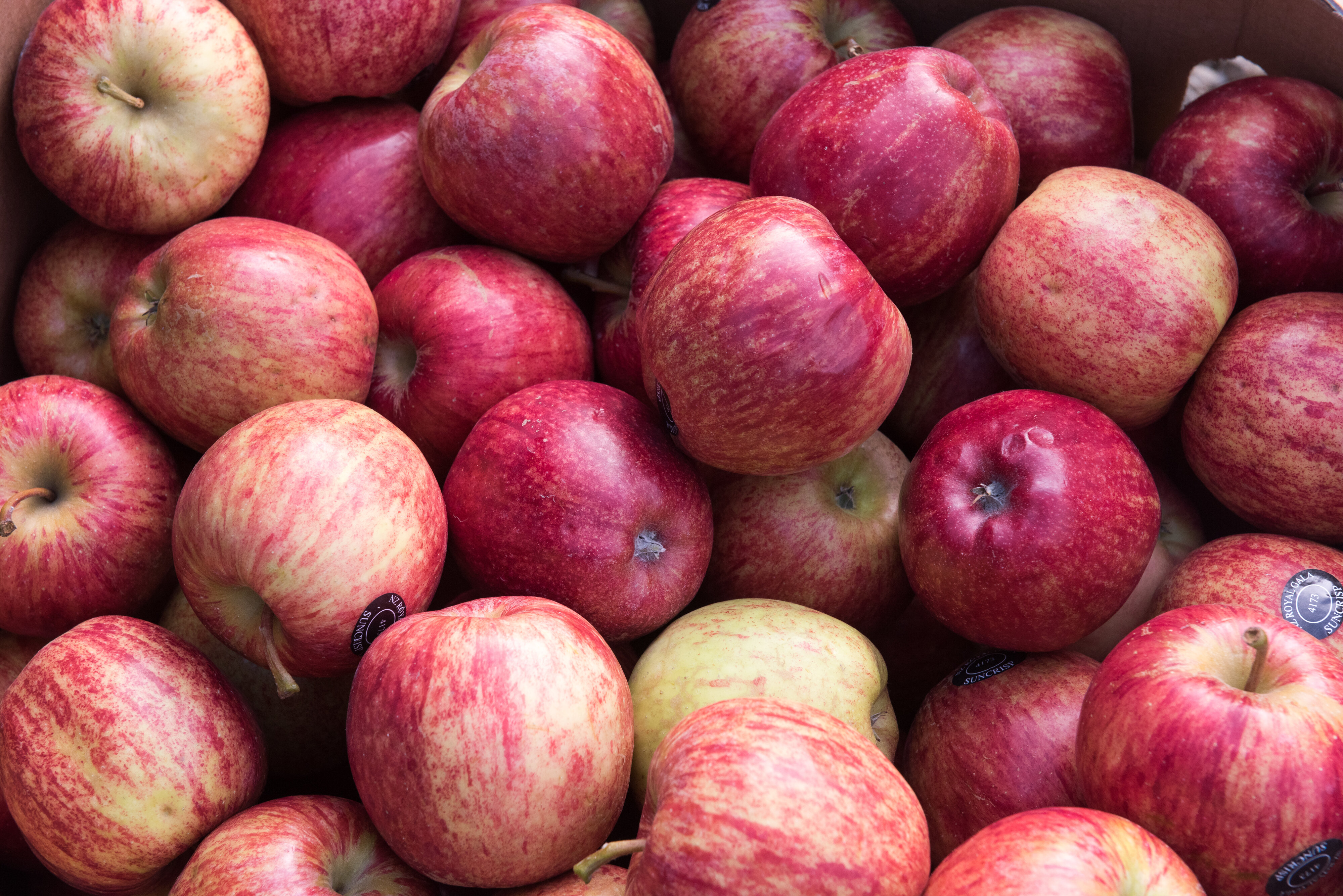 2016 SoLA Vertical Studio 2016-03-04  98