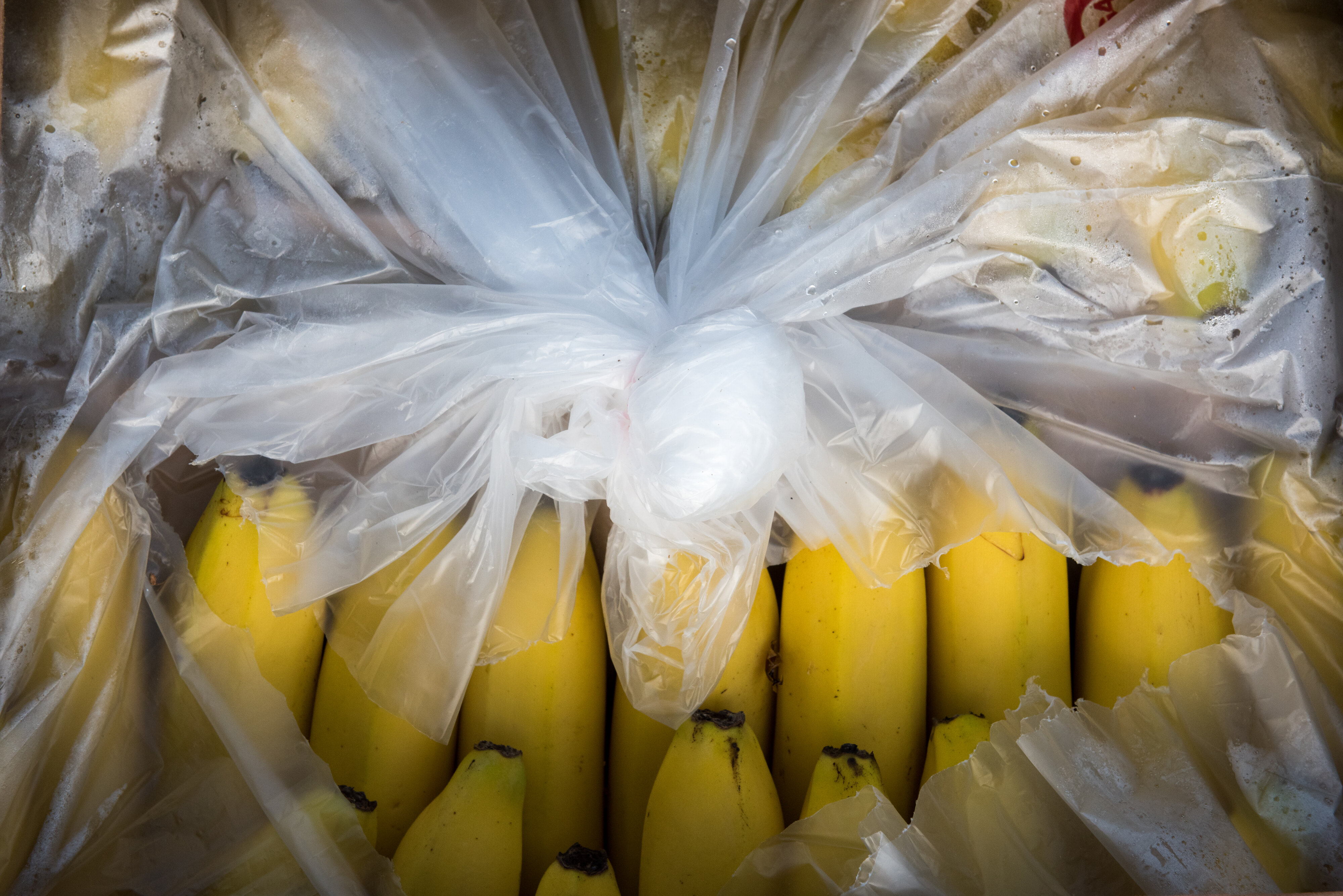 2016 SoLA Vertical Studio 2016-03-04  99