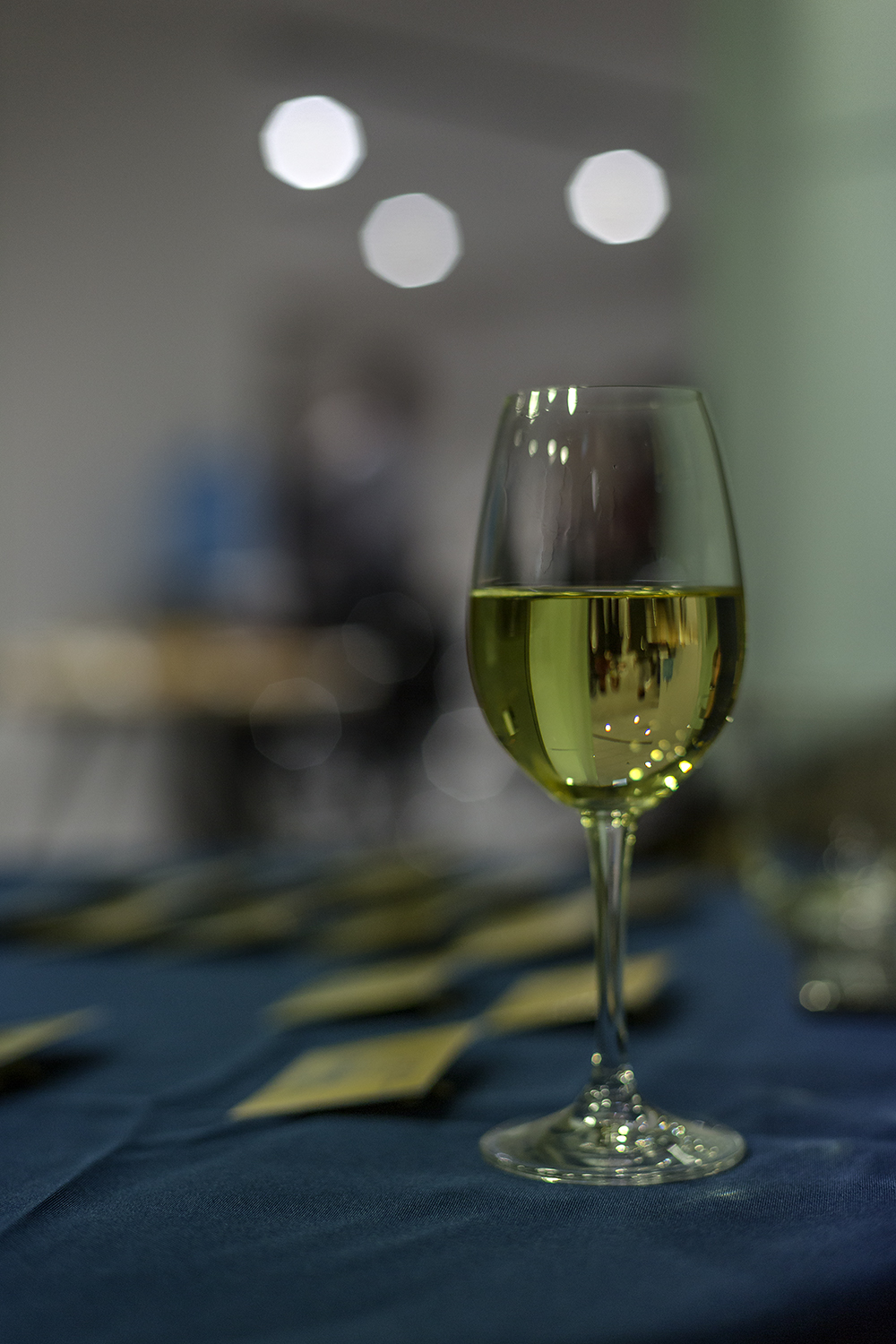 2018 Reunion LincUp Alumni &amp; Friends Dunedin 2018-09-20 006