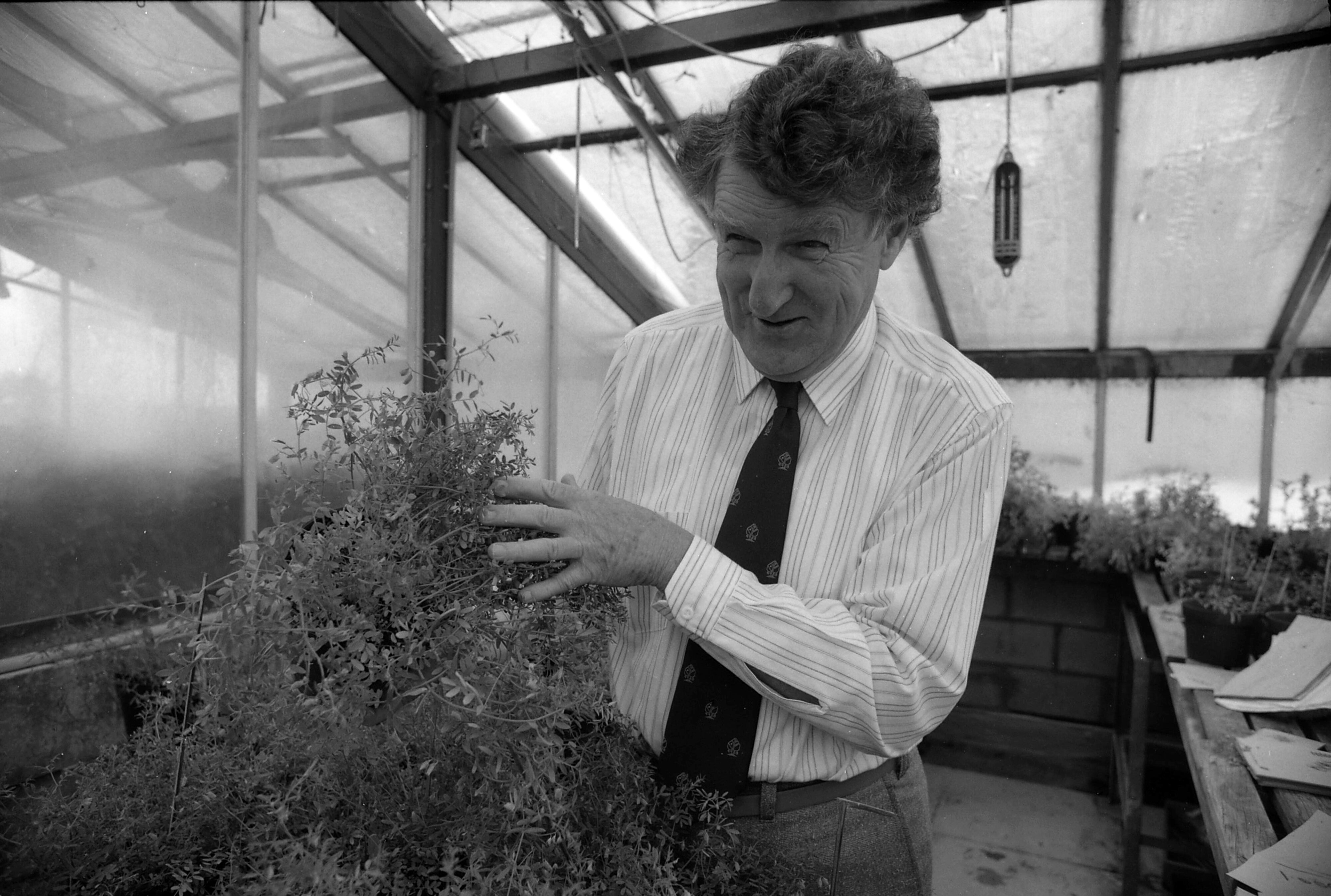 1993 Ron Close in glasshouse 1