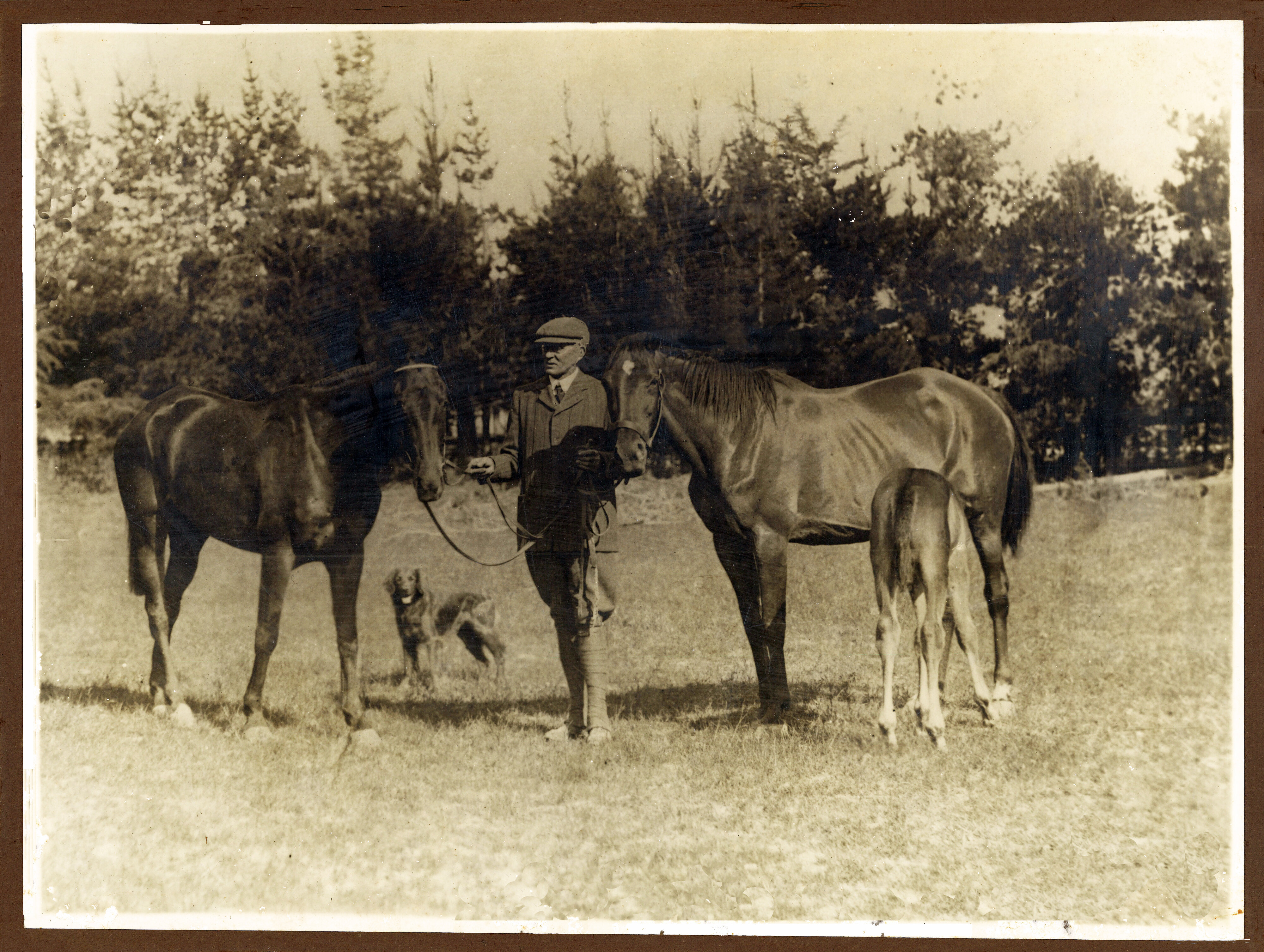 Photograph of George Turner Seymour