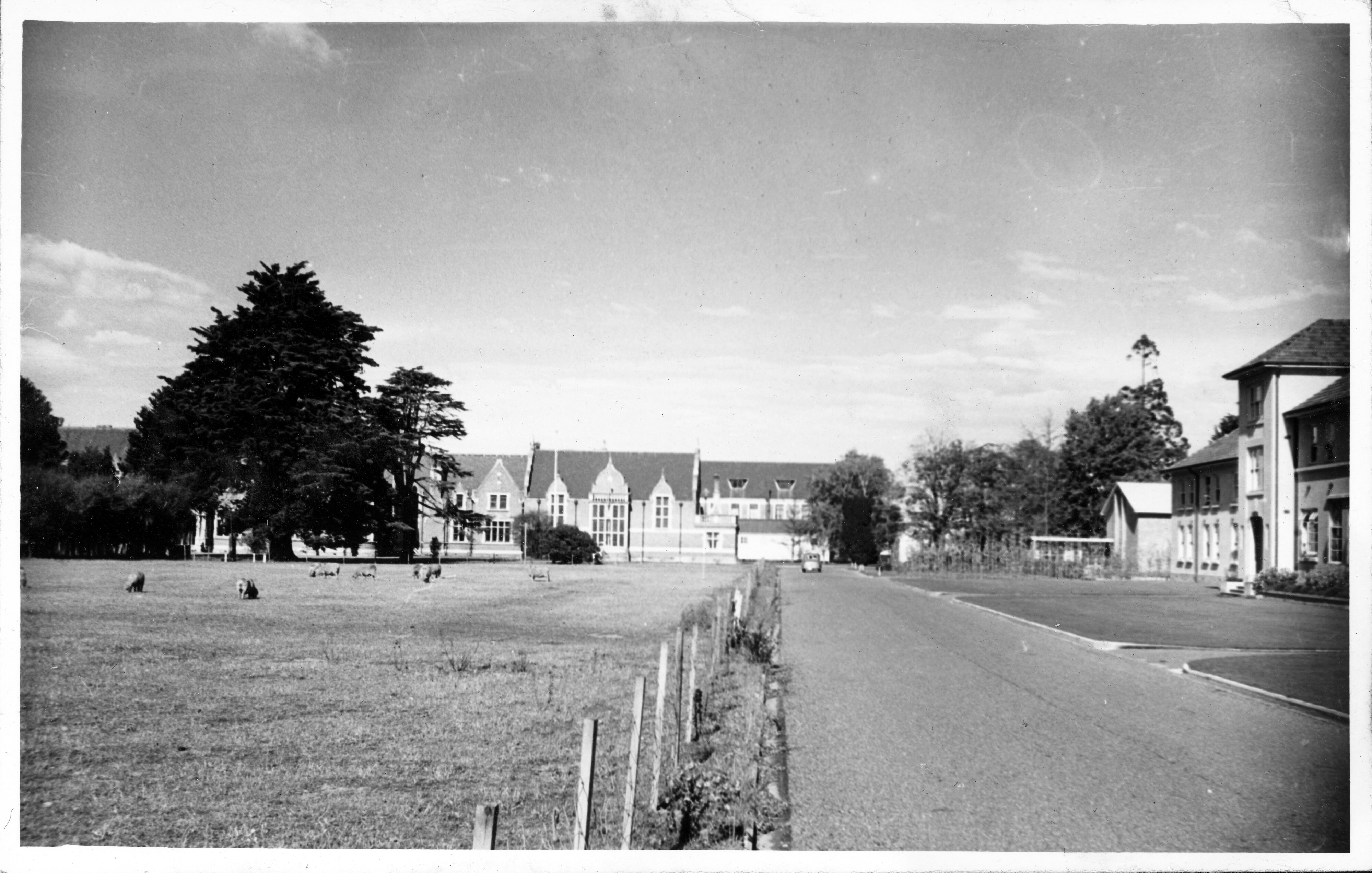 1950s Lincoln Campus view 