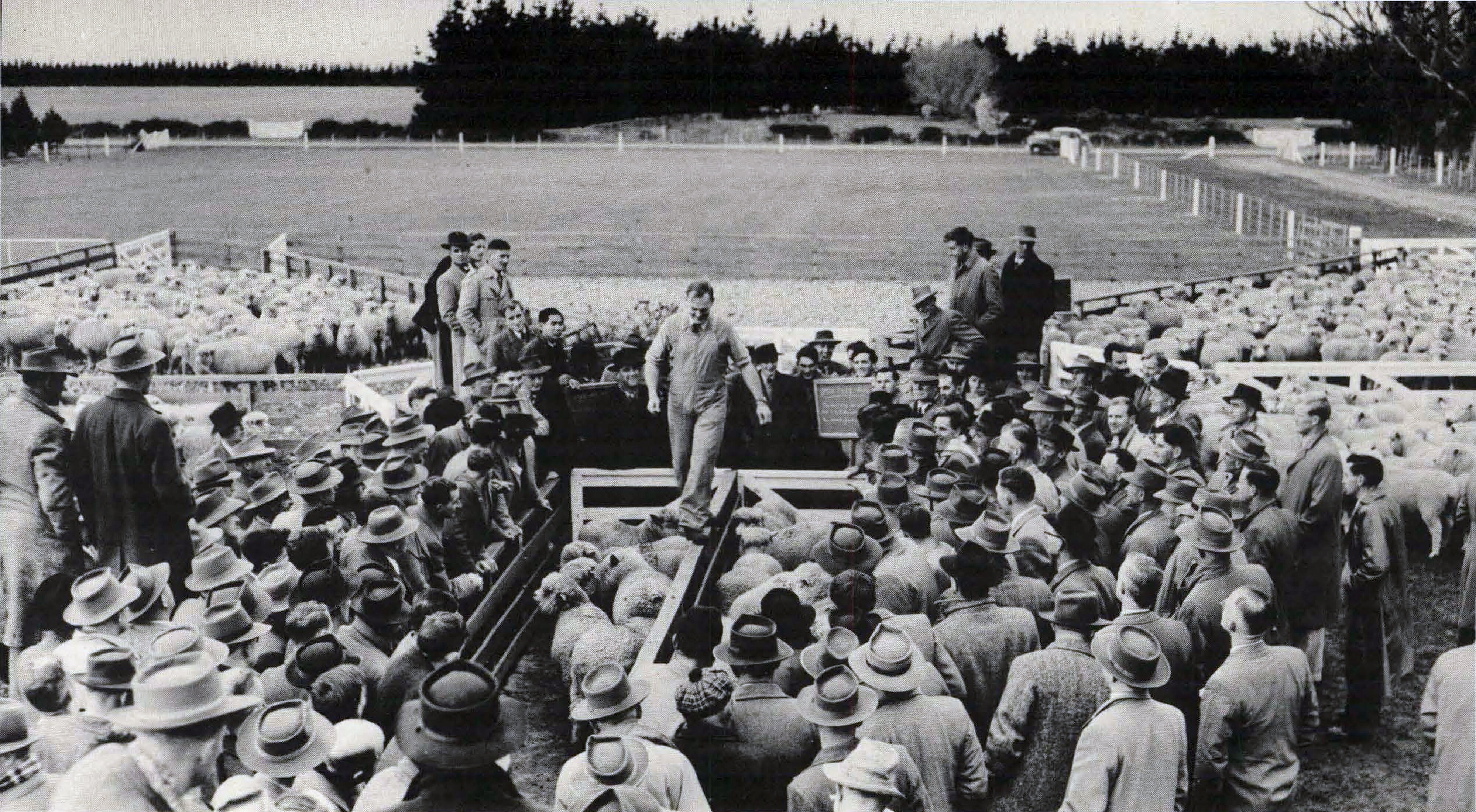 1963 An October Field at Ashley Dene