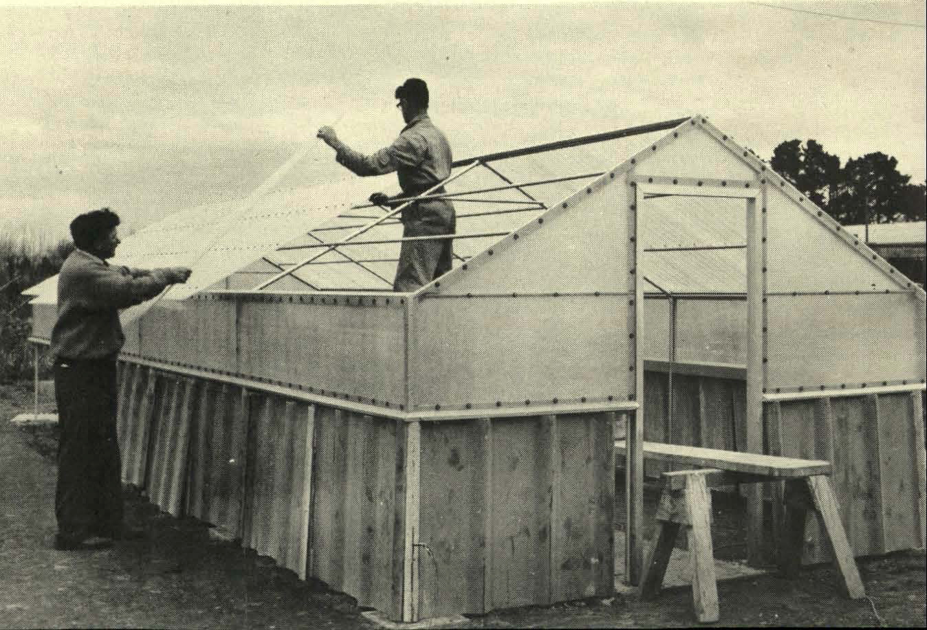 1963 Horticultural Research