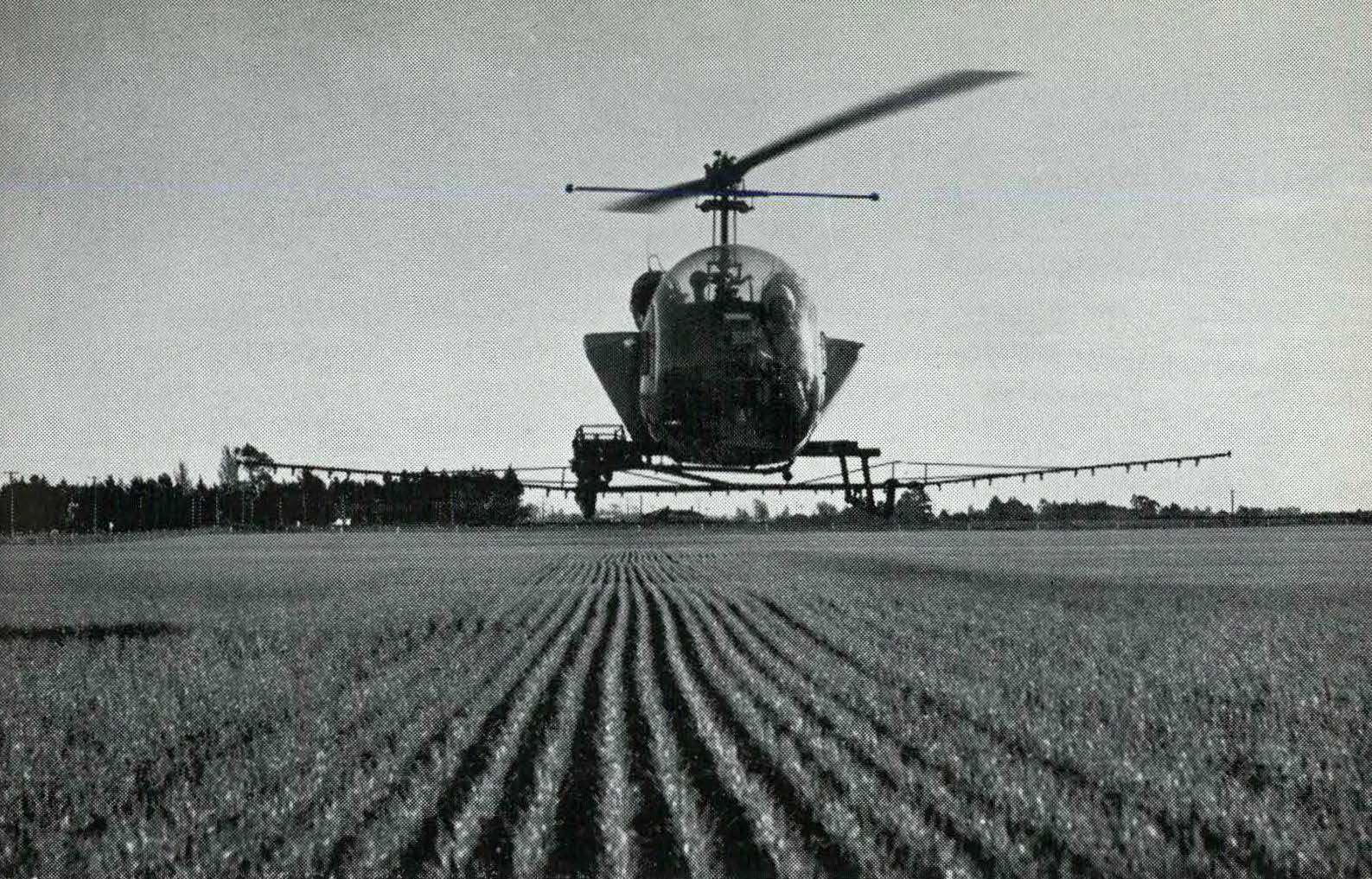1962 Helicopter spraying a college wheat crop
