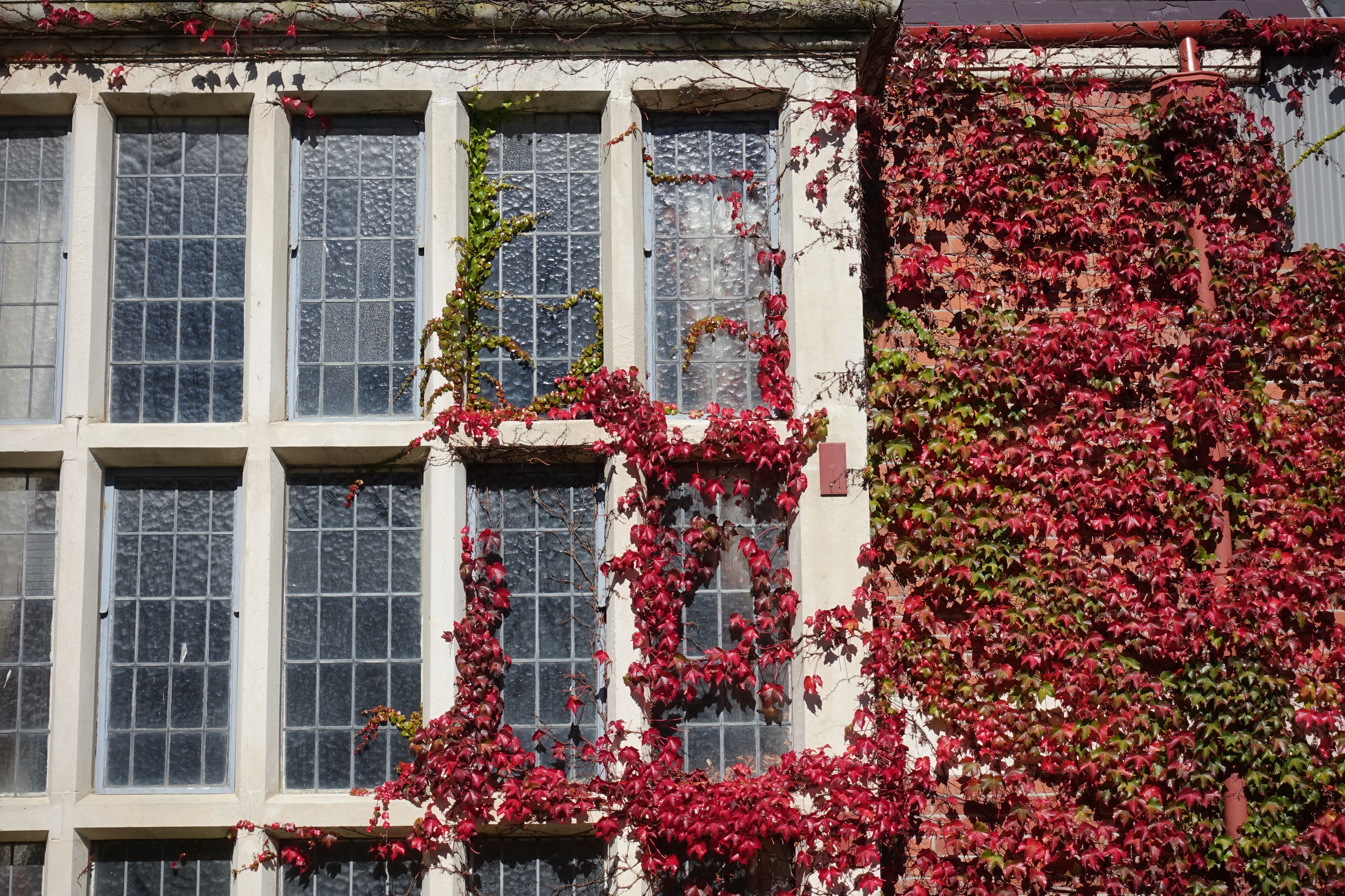 2016 Ivey Hall east 02