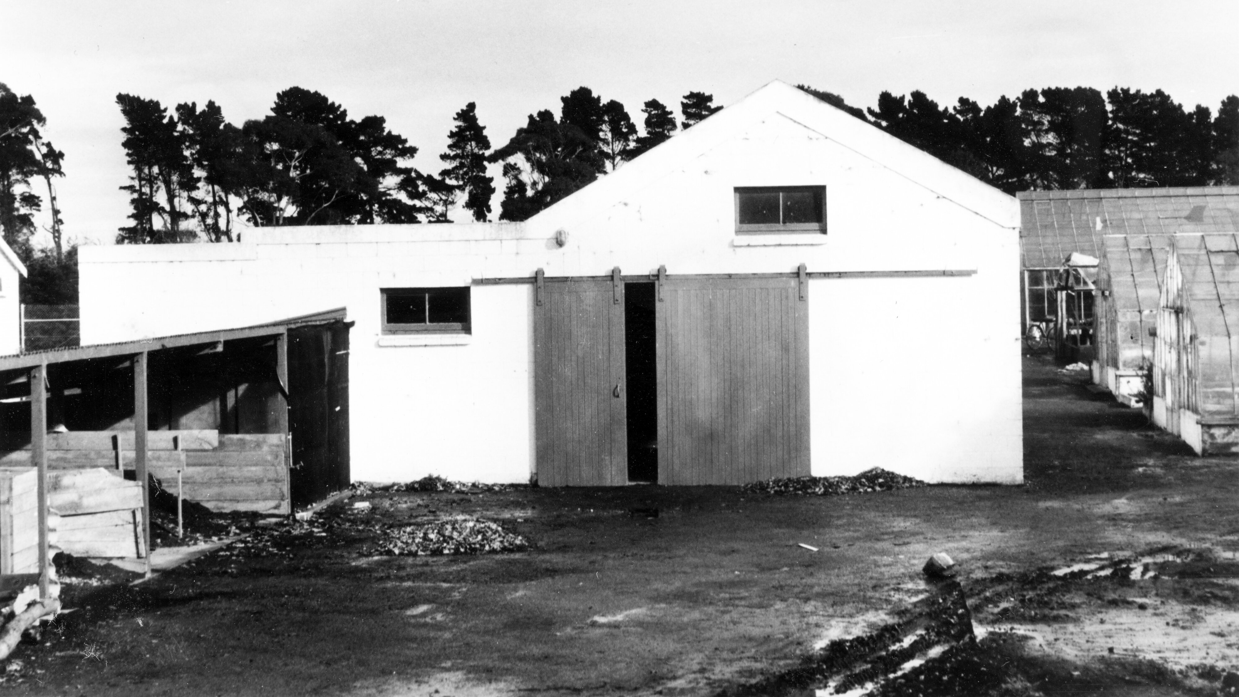 1974 Lincoln College Nursery 1