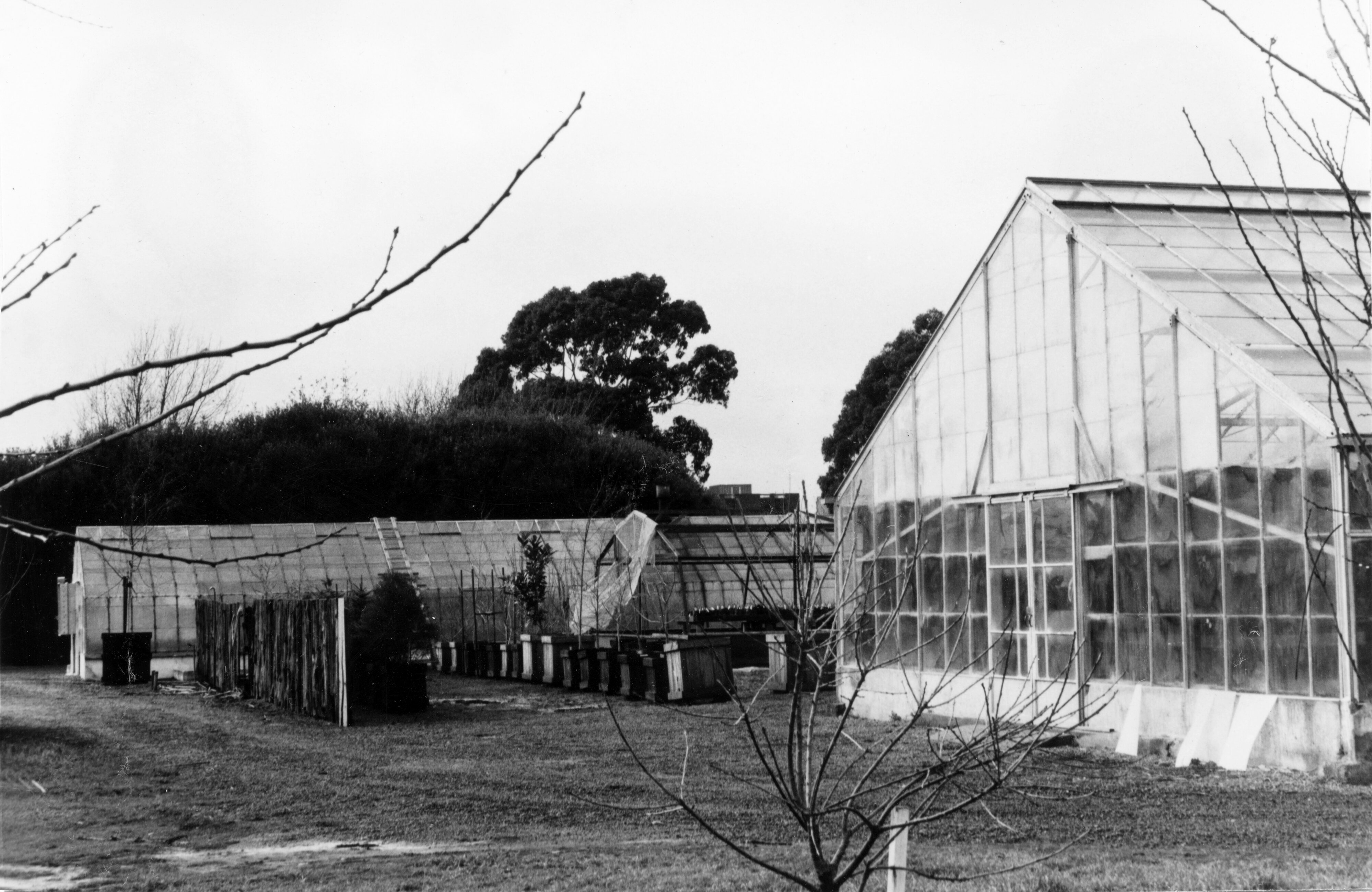 1974 Lincoln College Nursery 2