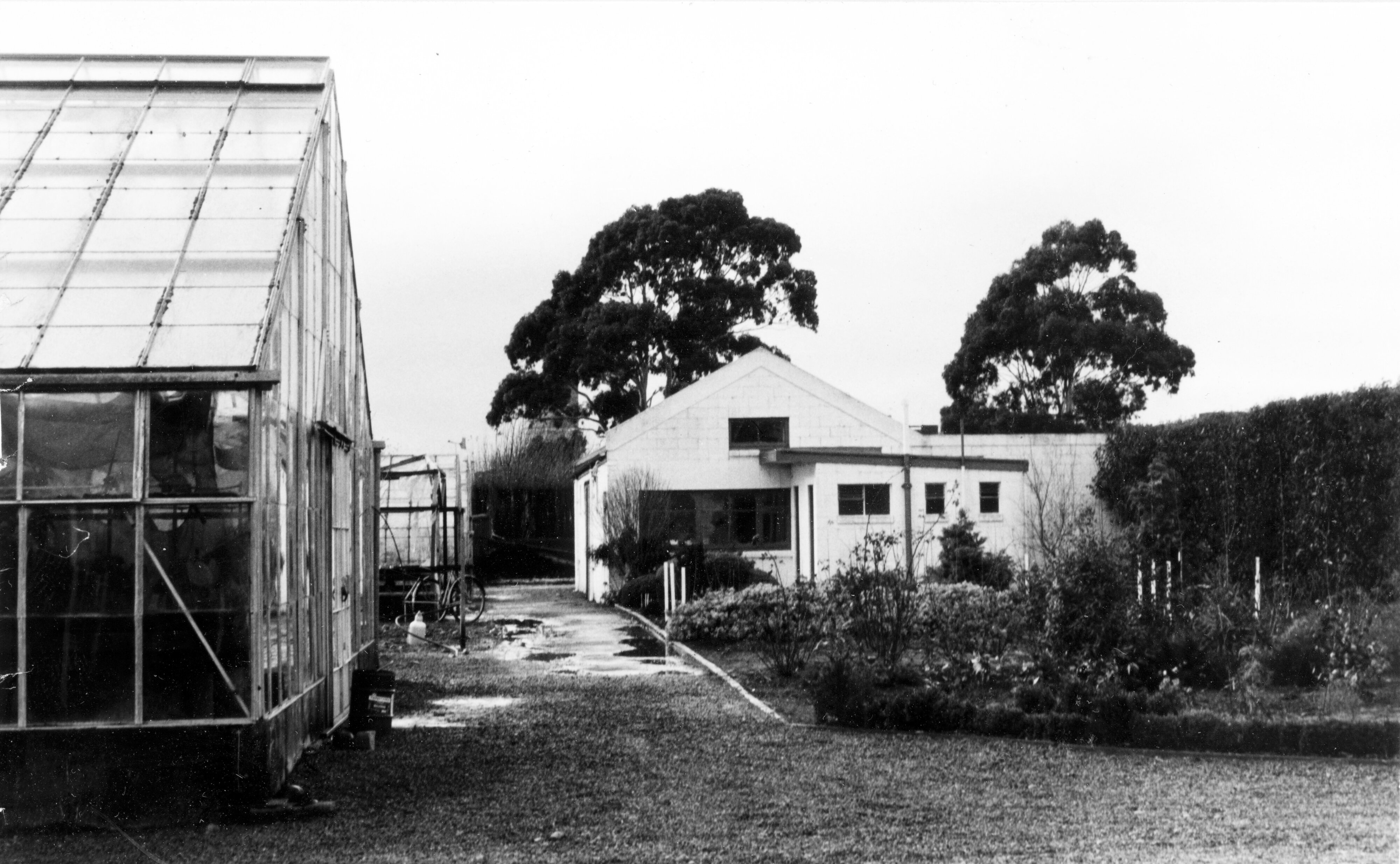 1974 Lincoln College Nursery 5