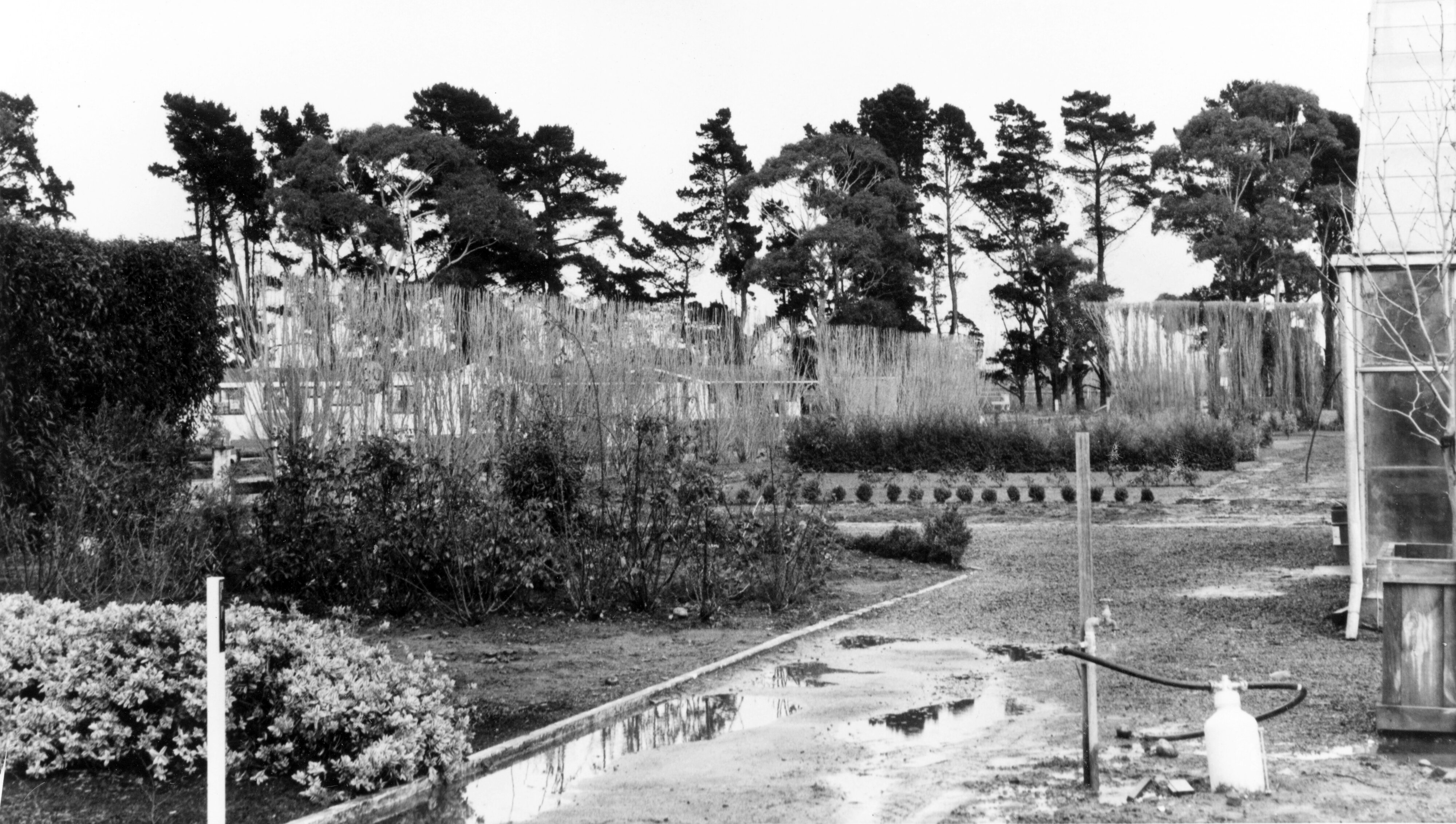 1974 Lincoln College Nursery 6