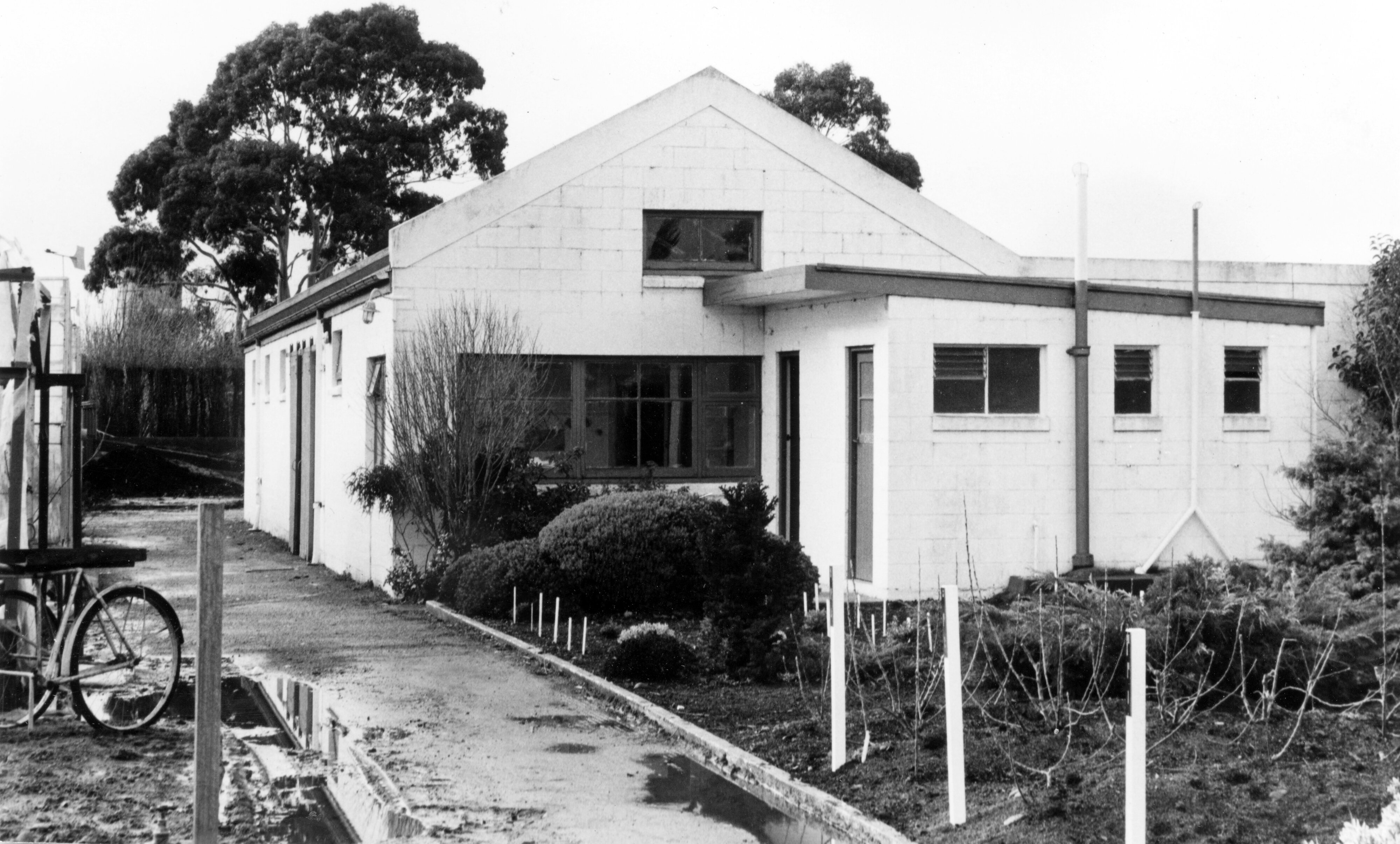 1974 Lincoln College Nursery 7