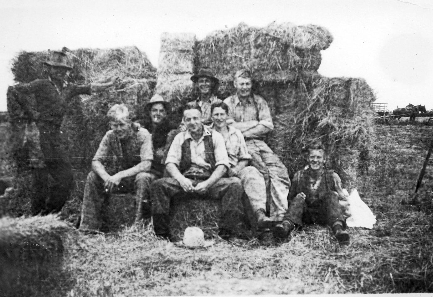 Baling Oats and Vetches 3