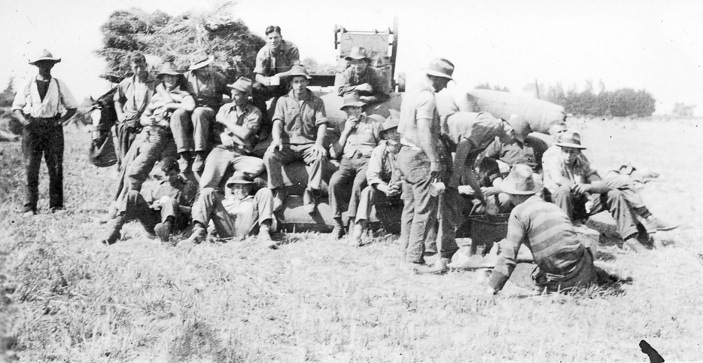 Chaff cutting