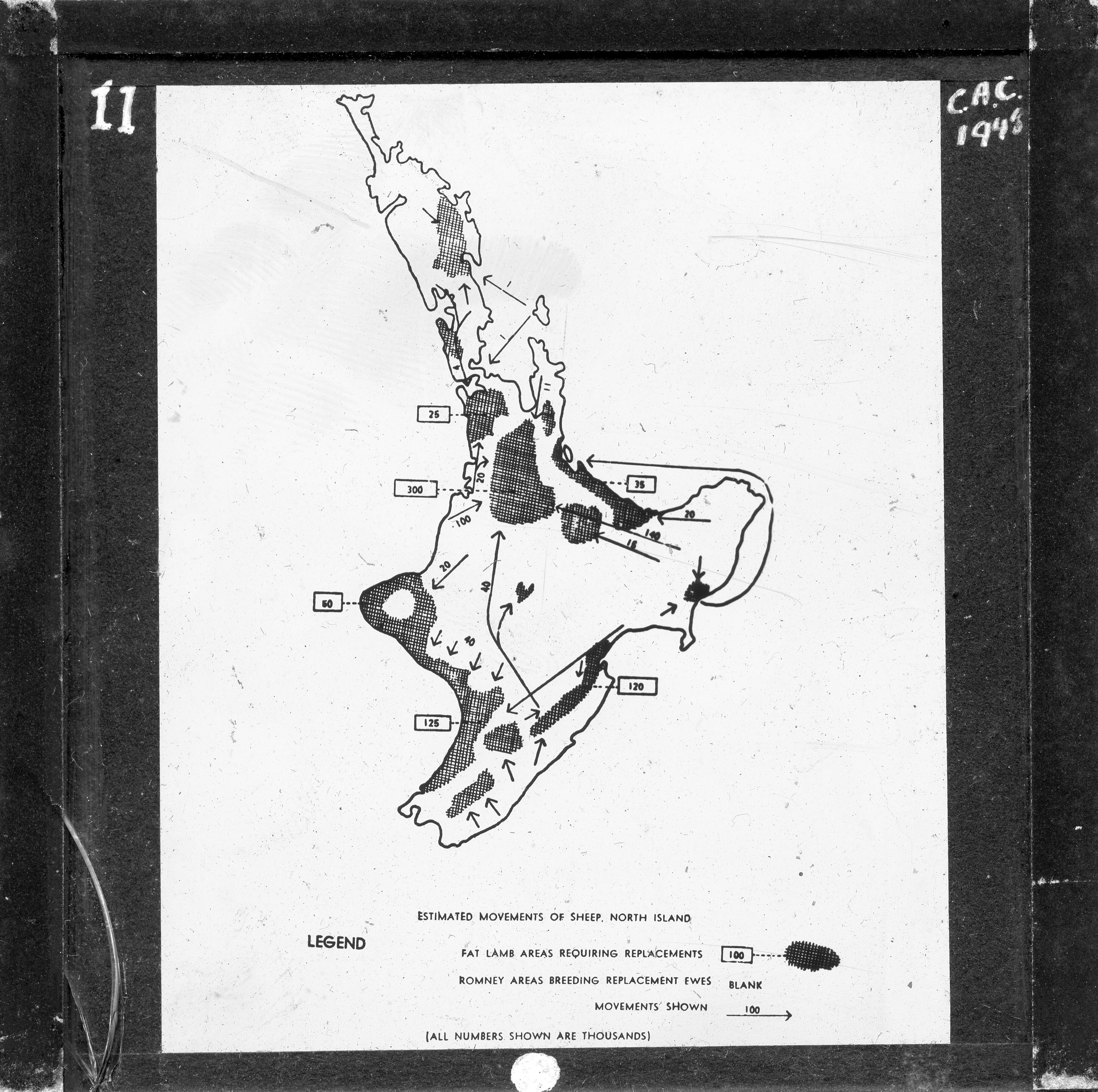 NZ Agriculture Slides-1948-49_011